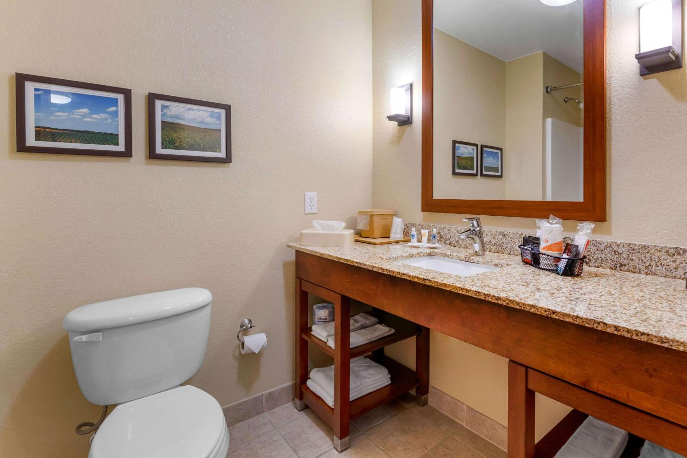 King Suite - Non-Smoking - Photo 2