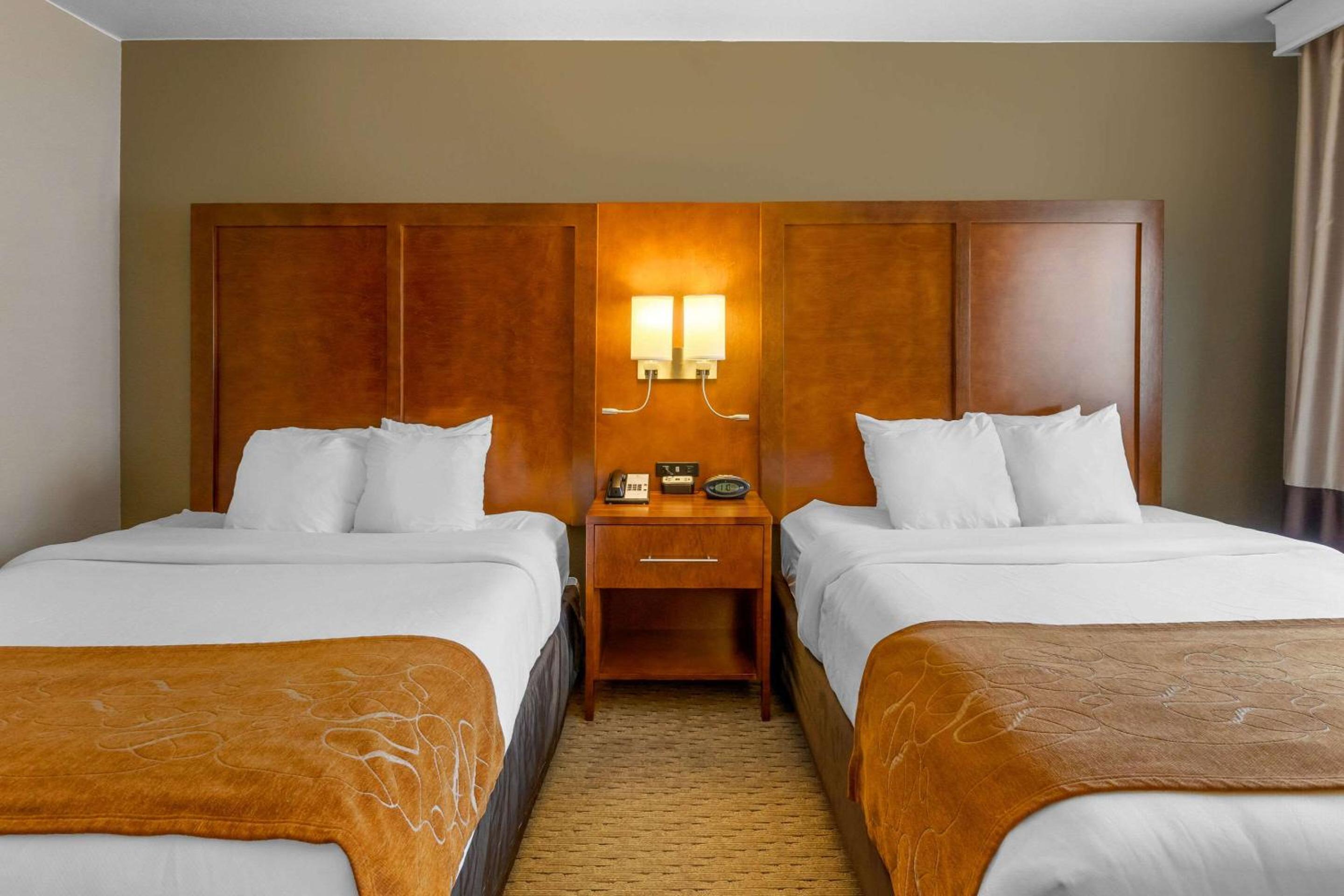 Queen Suite with Two Queen Beds - Non-Smoking - Photo 4
