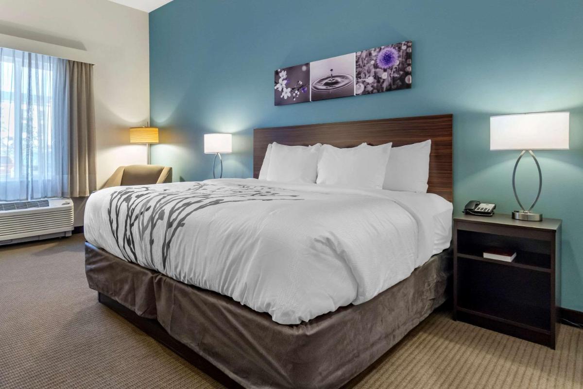 King Room - Accessible/Non-Smoking photo 1