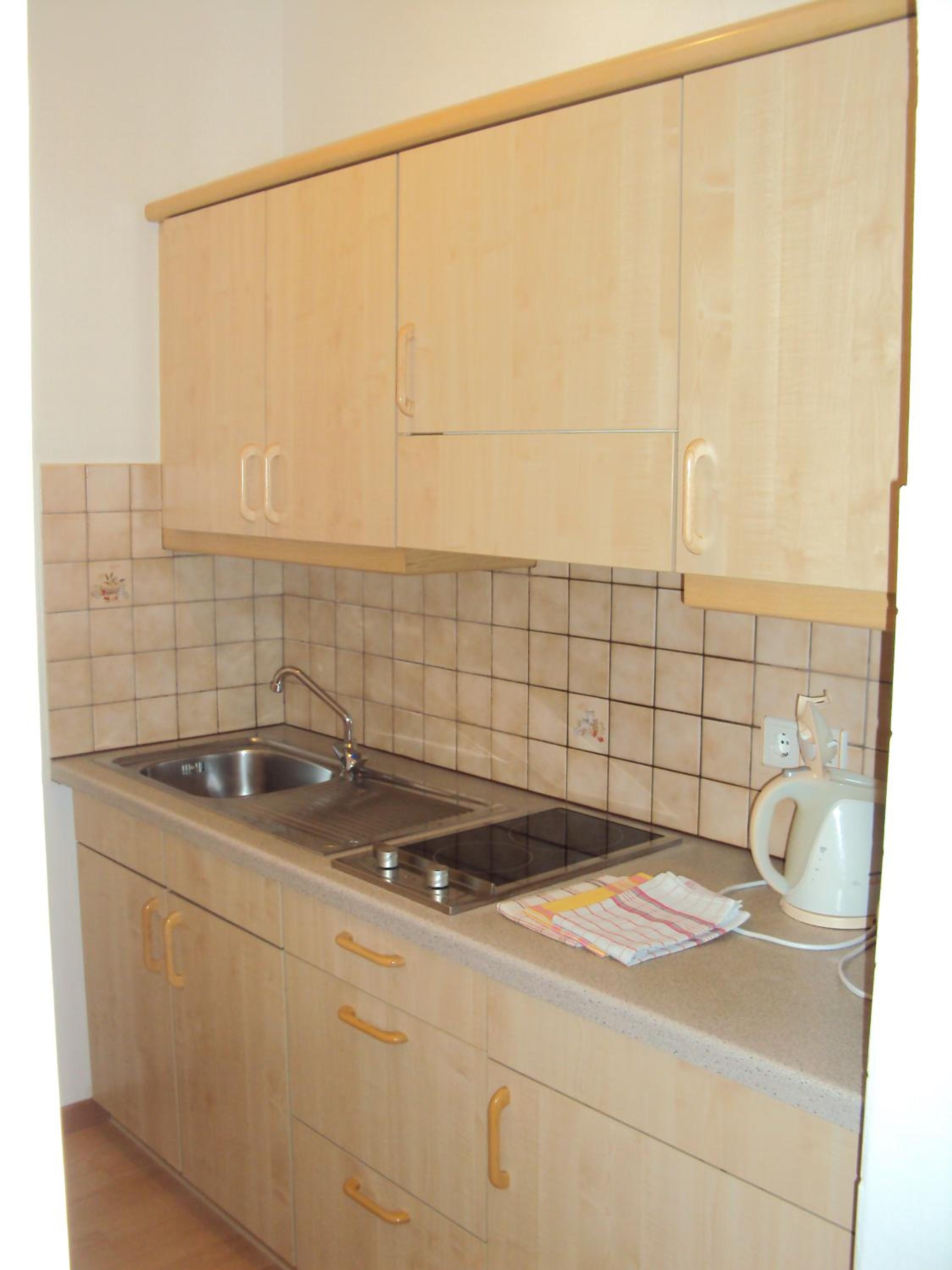 One-Bedroom Large Apartment with Balcony - Photo 5