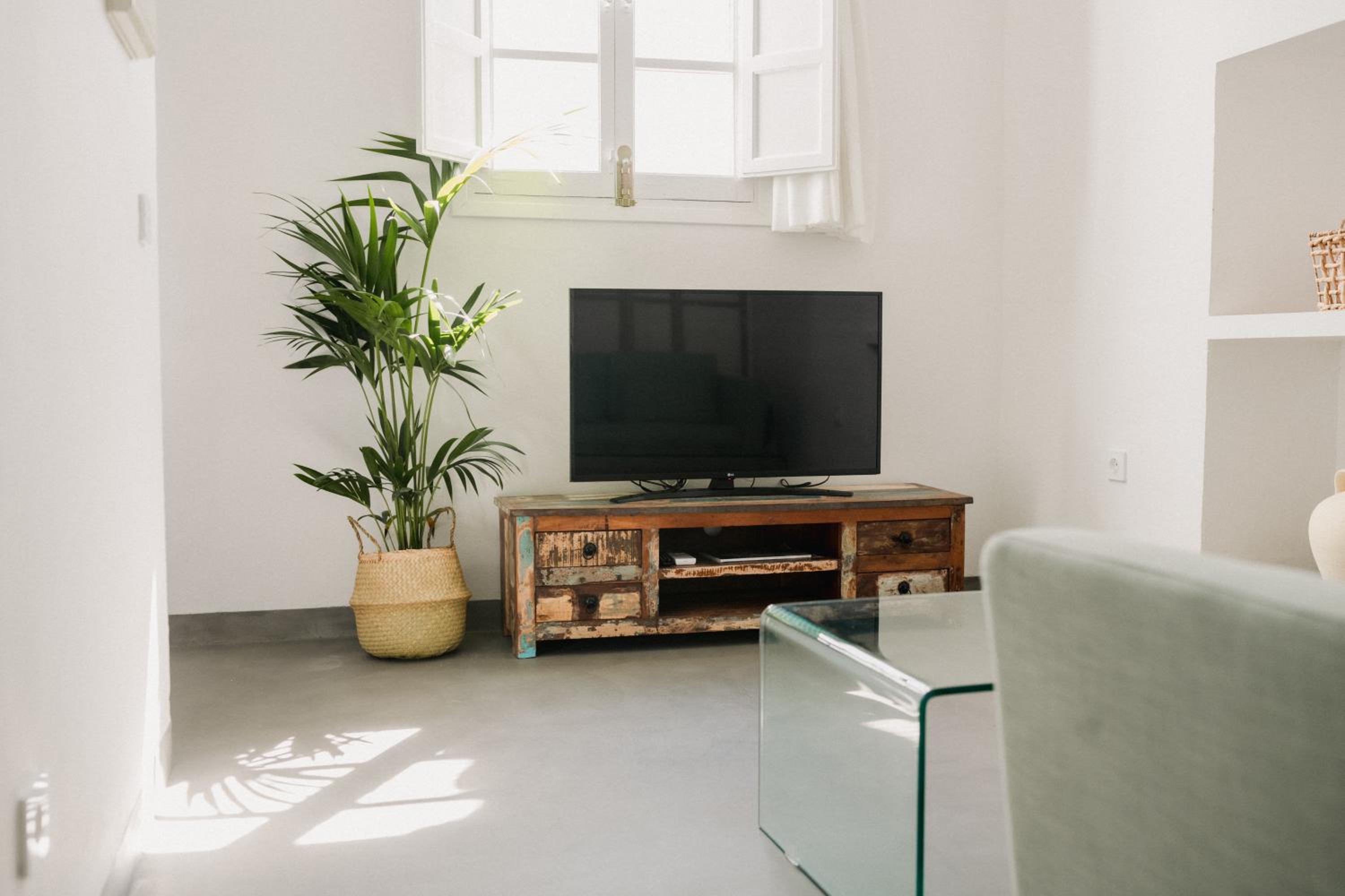 One-Bedroom Apartment - Photo 1