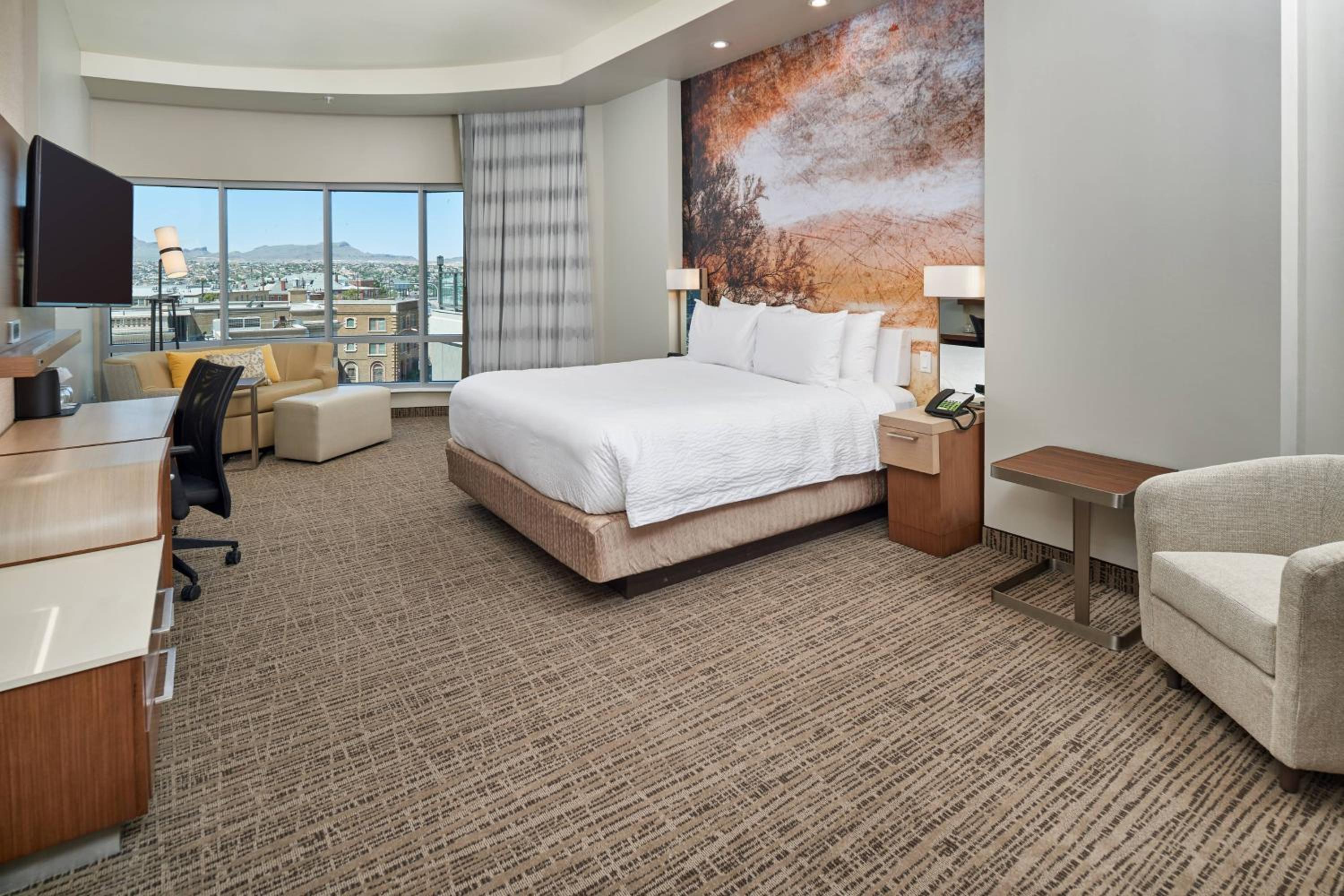 Larger King Room with Stadium View and Sofa Bed