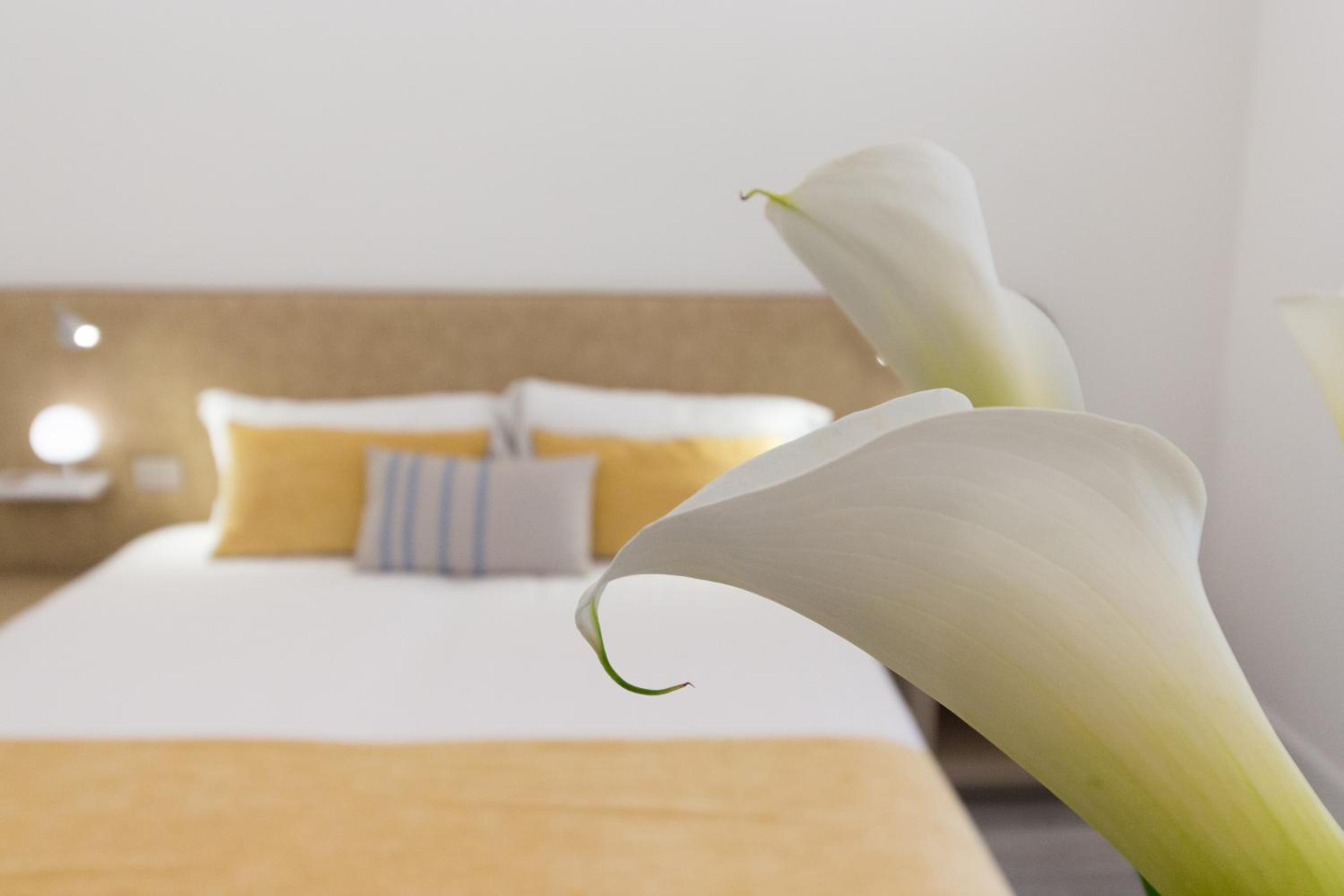 Deluxe Room - Photo 7