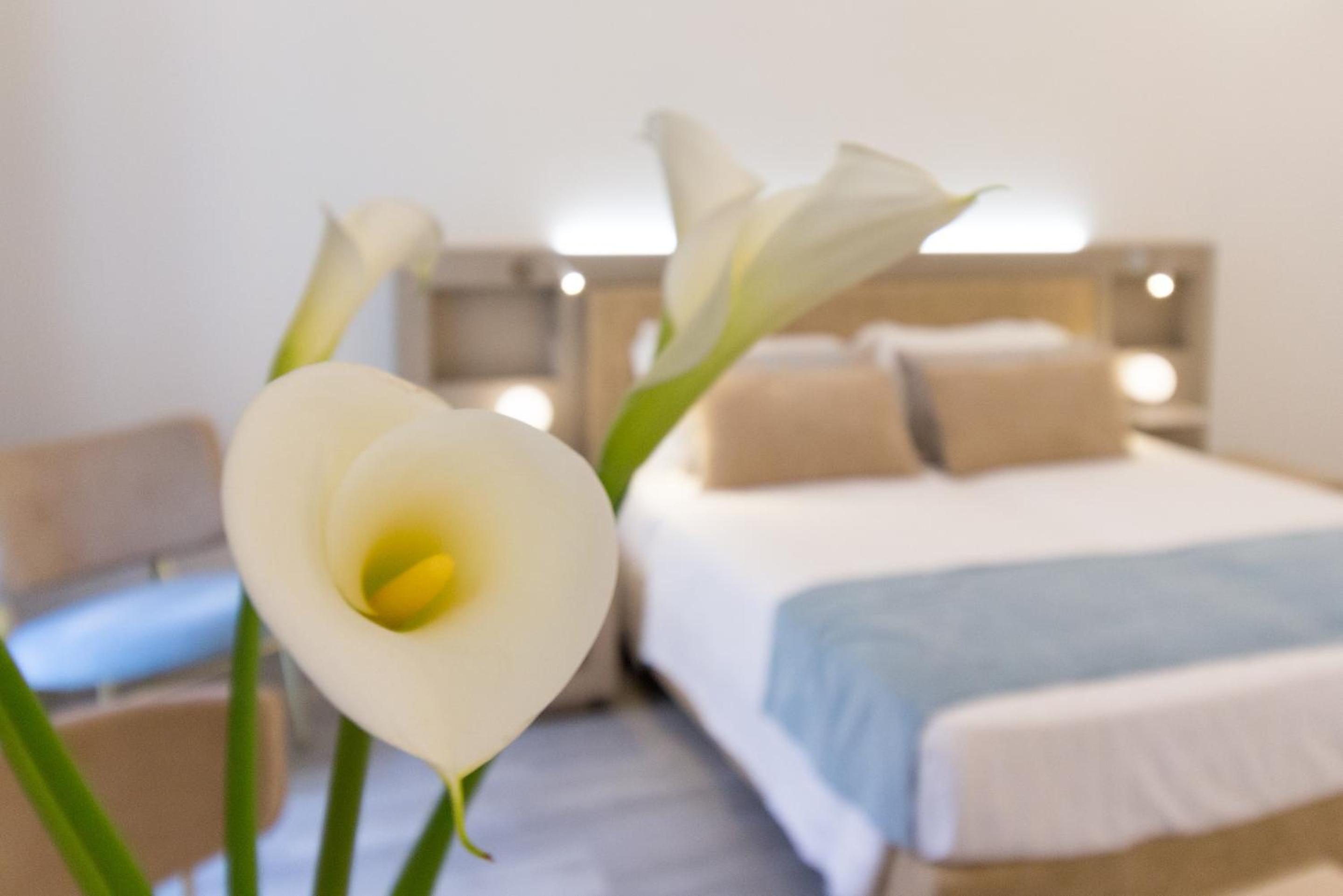 Deluxe Room - Photo 16