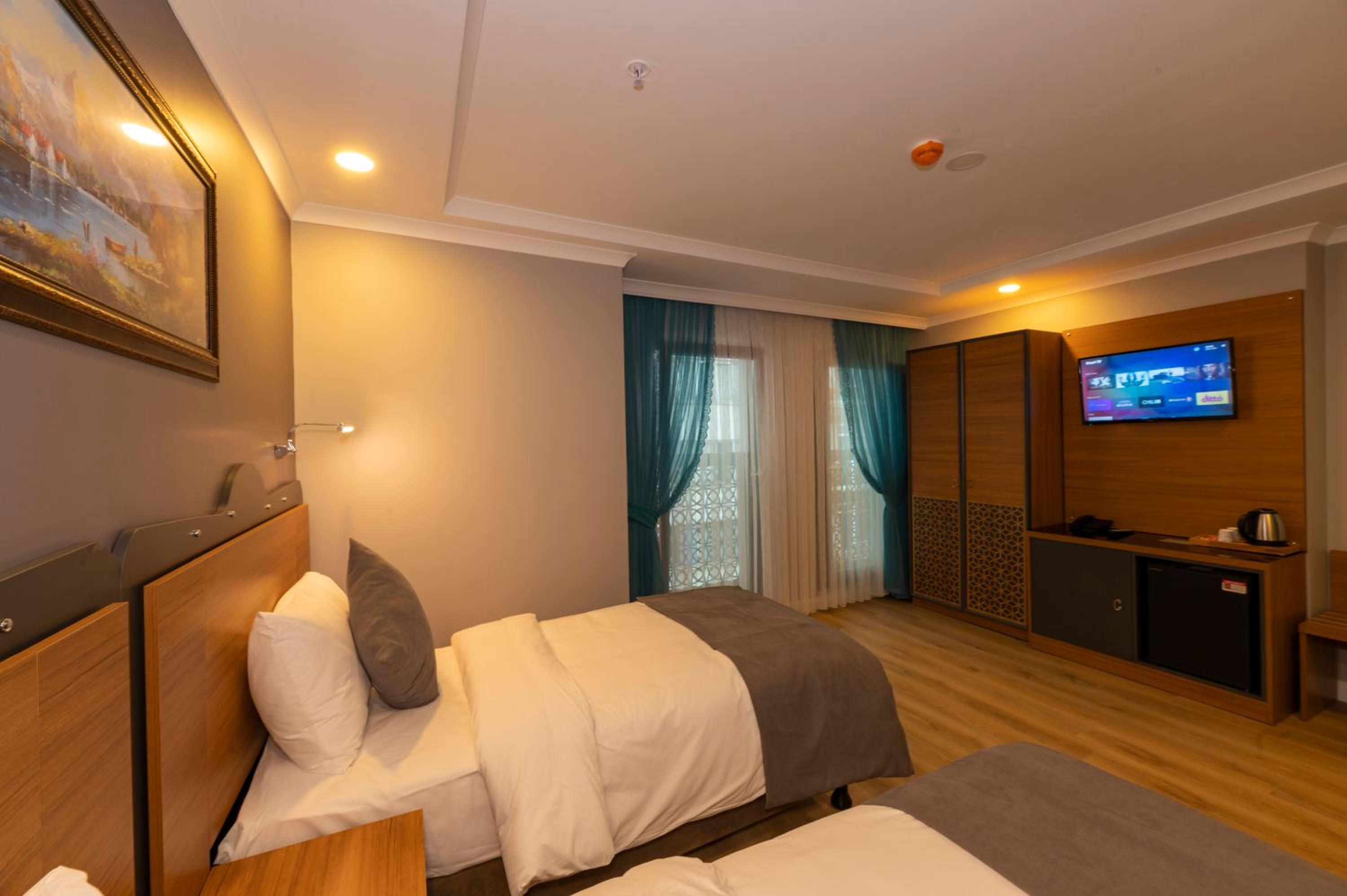 Deluxe Double or Twin Room photo 2