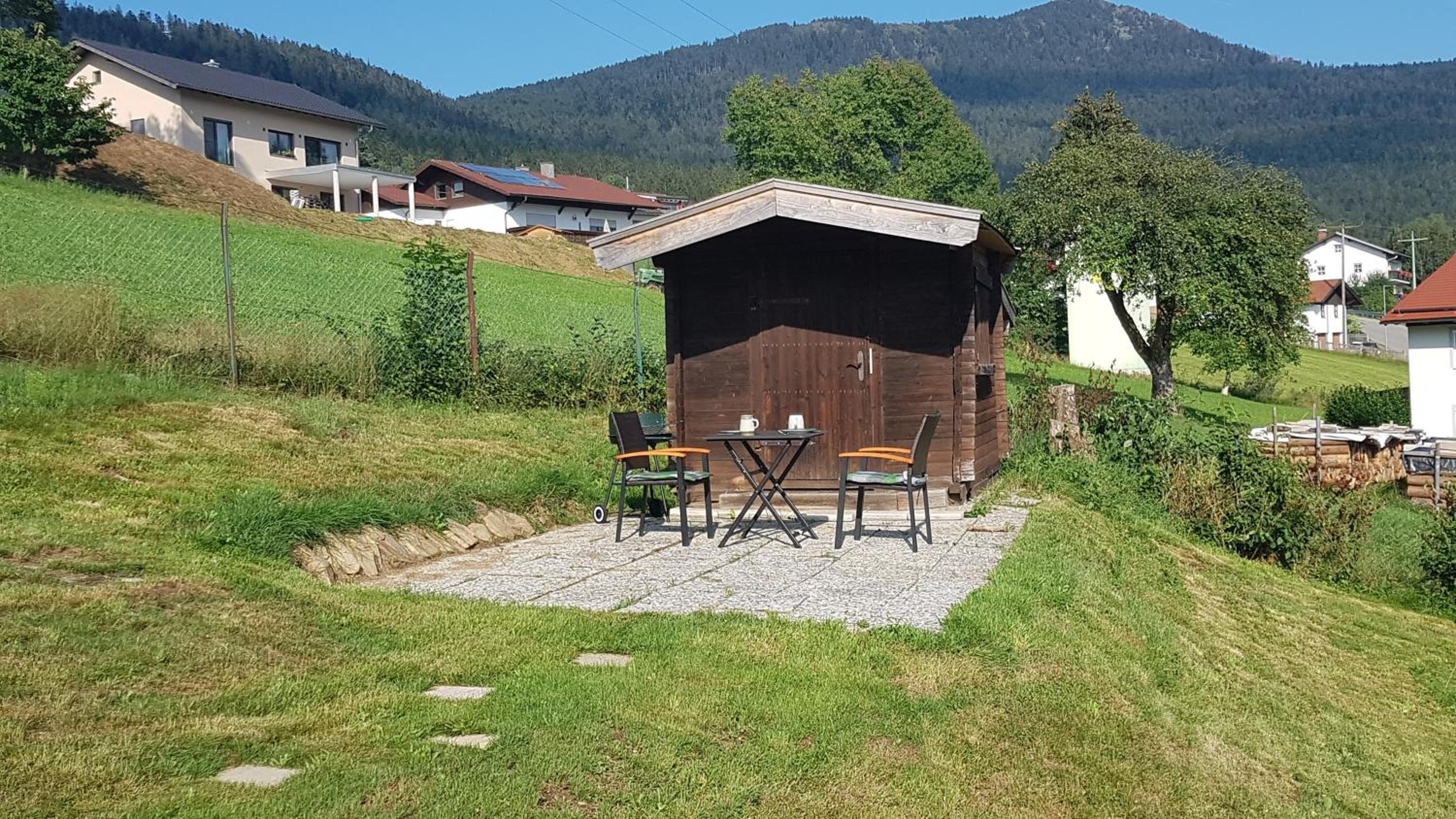 Apartment with Terrace photo 3