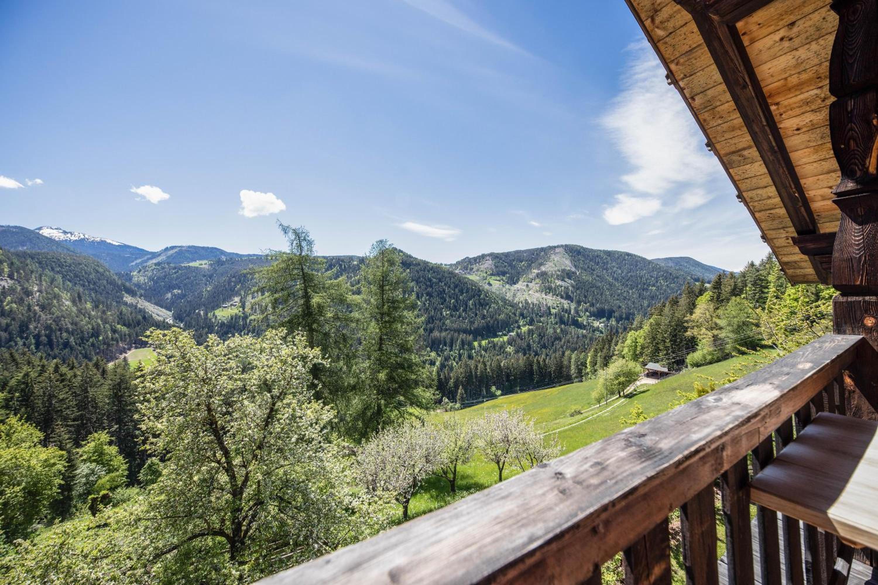 Superior One-Bedroom Apartment with Balcony - Photo 10