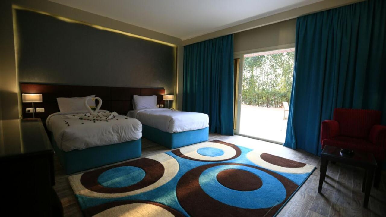 Deluxe Double or Twin Room photo 1
