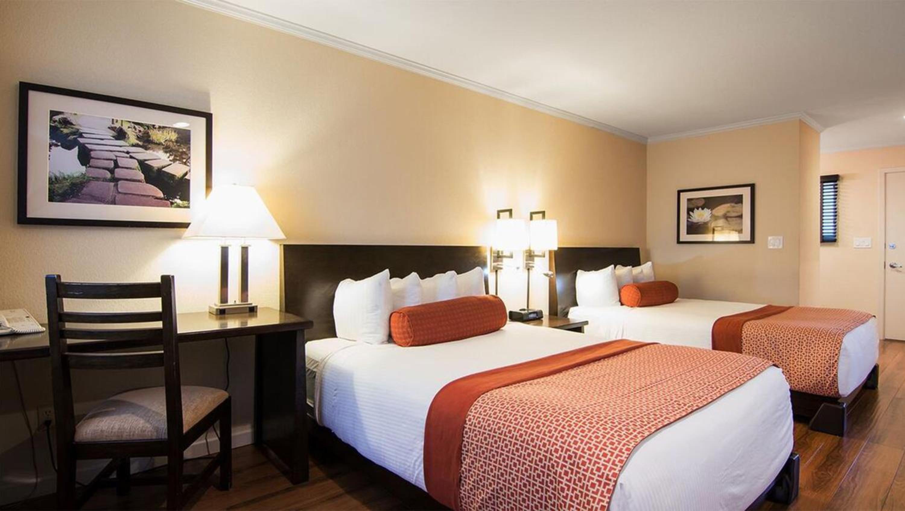 Deluxe Queen Suite - Photo 4