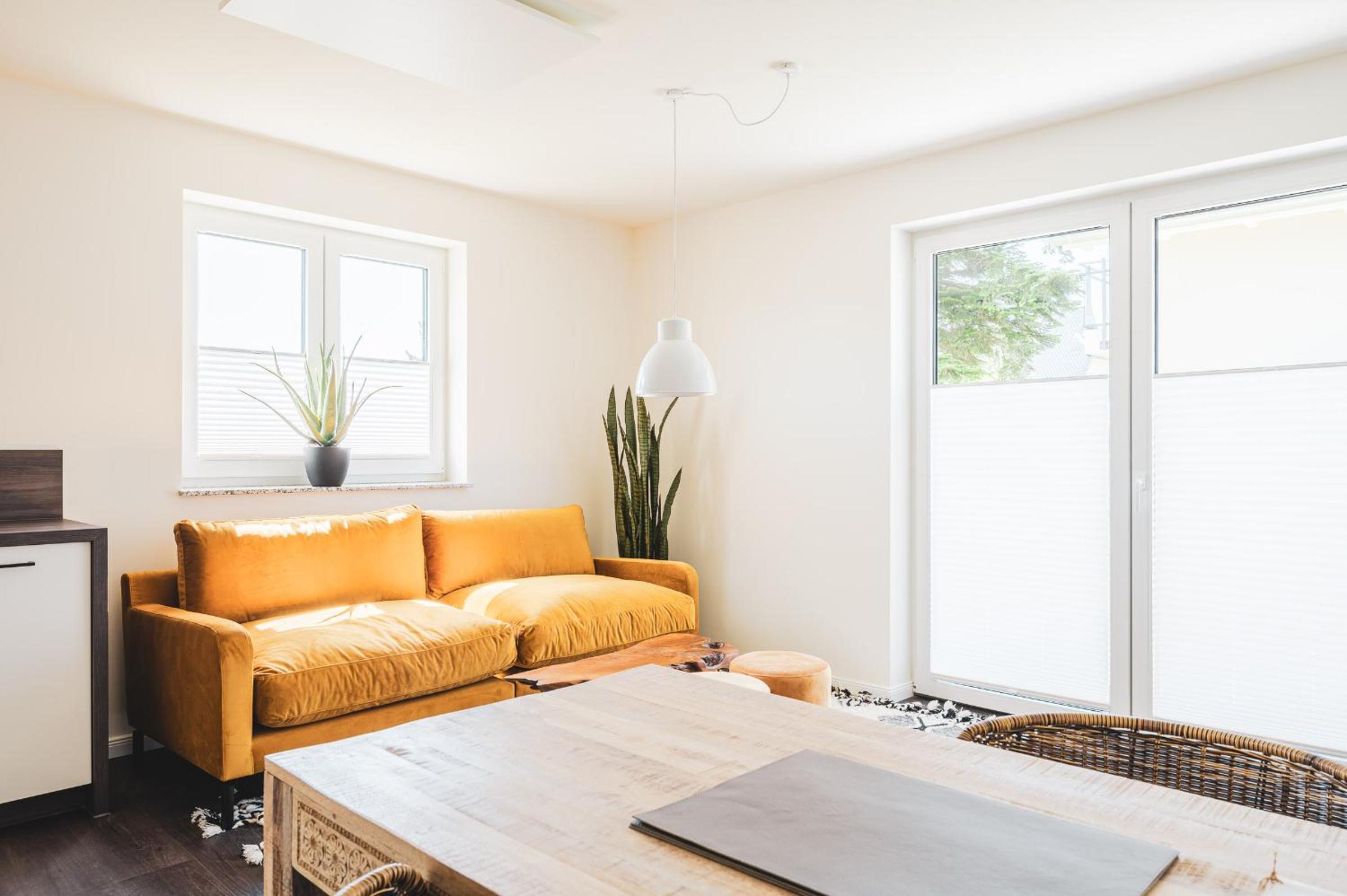 Apartment with Terrace photo 1