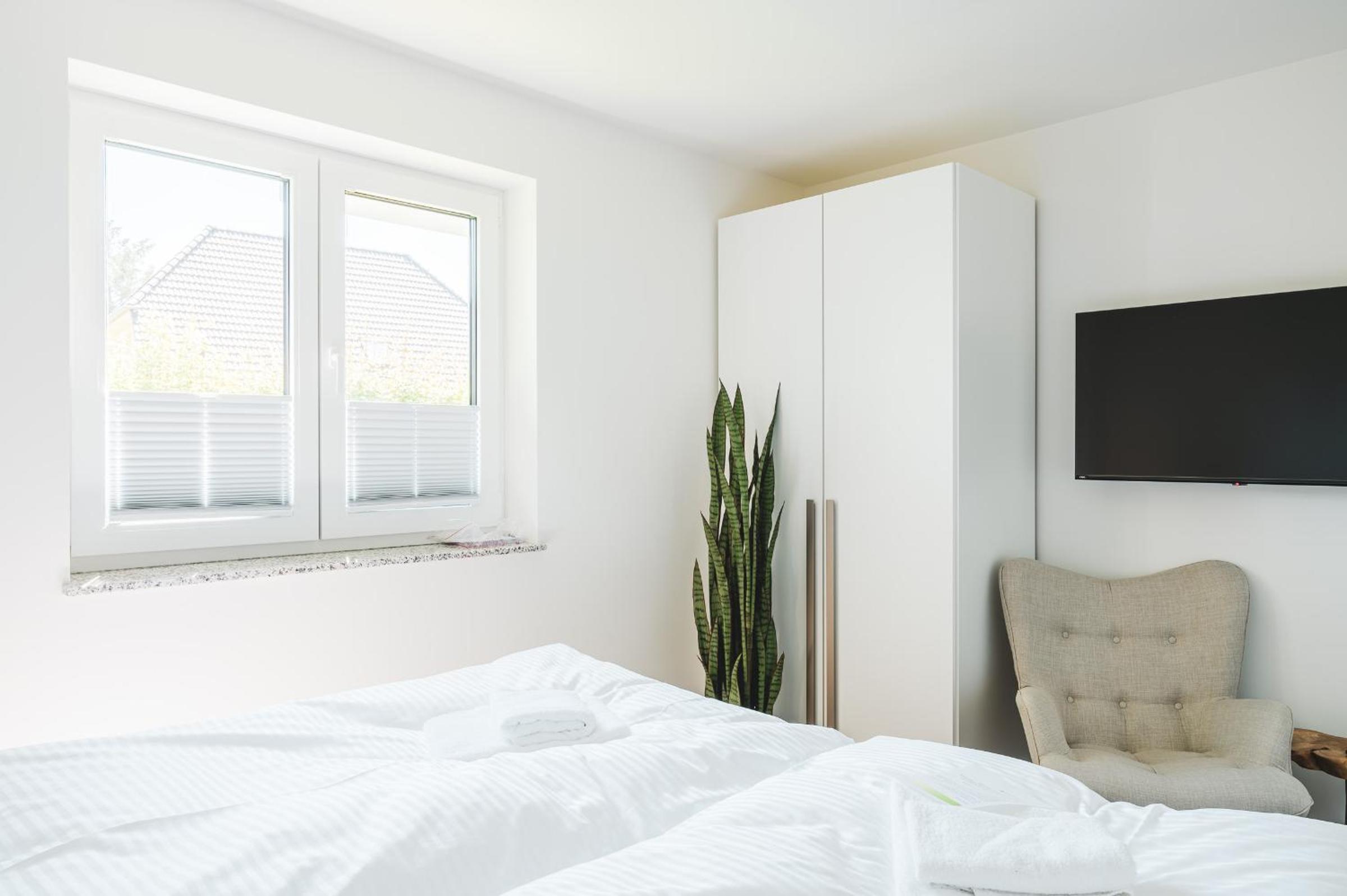 Apartment with Terrace photo 3