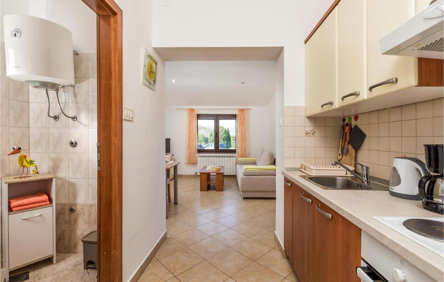 One-Bedroom Apartment photo 2