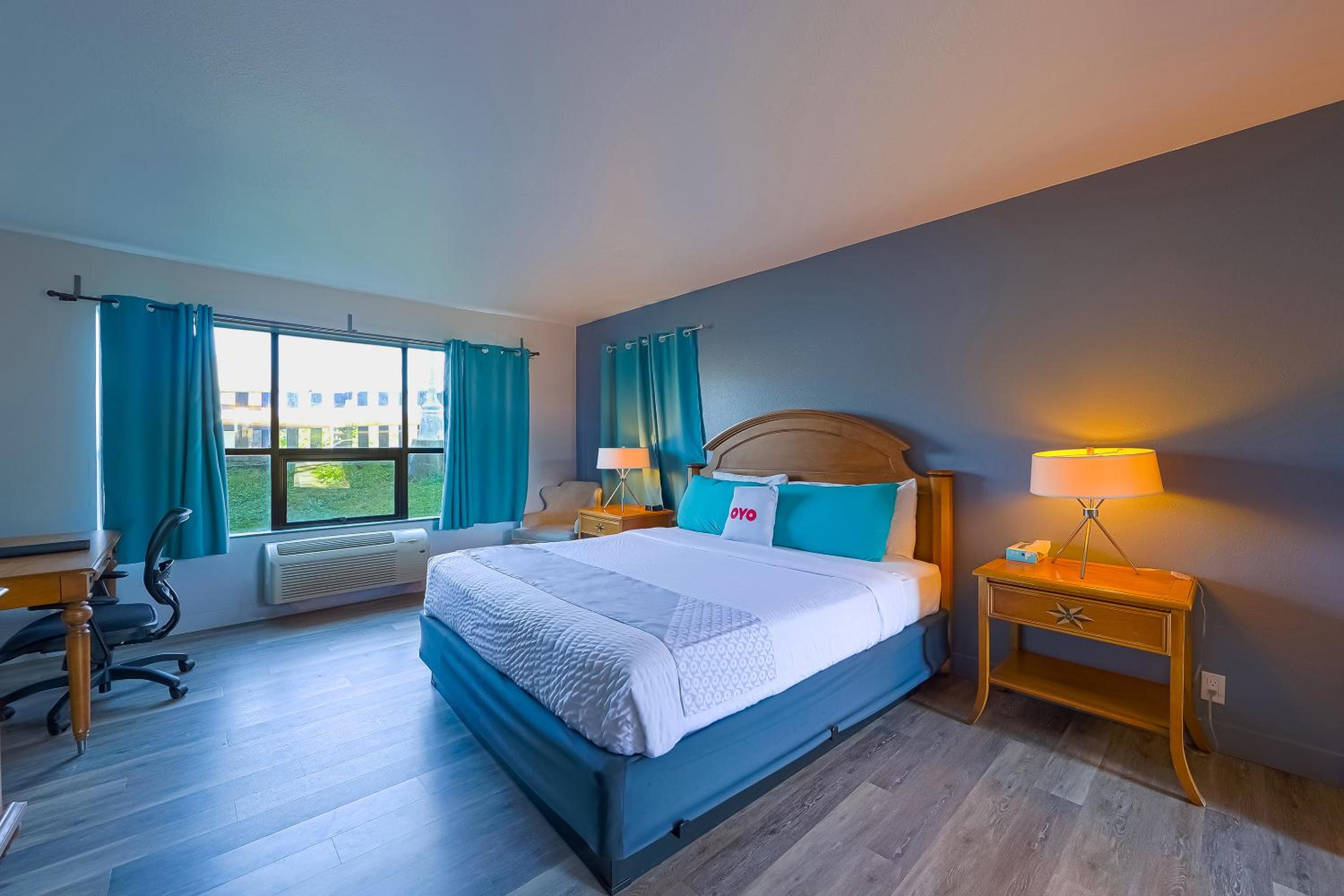King Room photo 1
