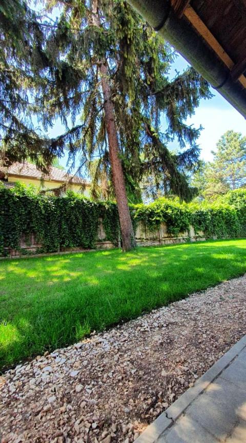 Apartment - Photo 31