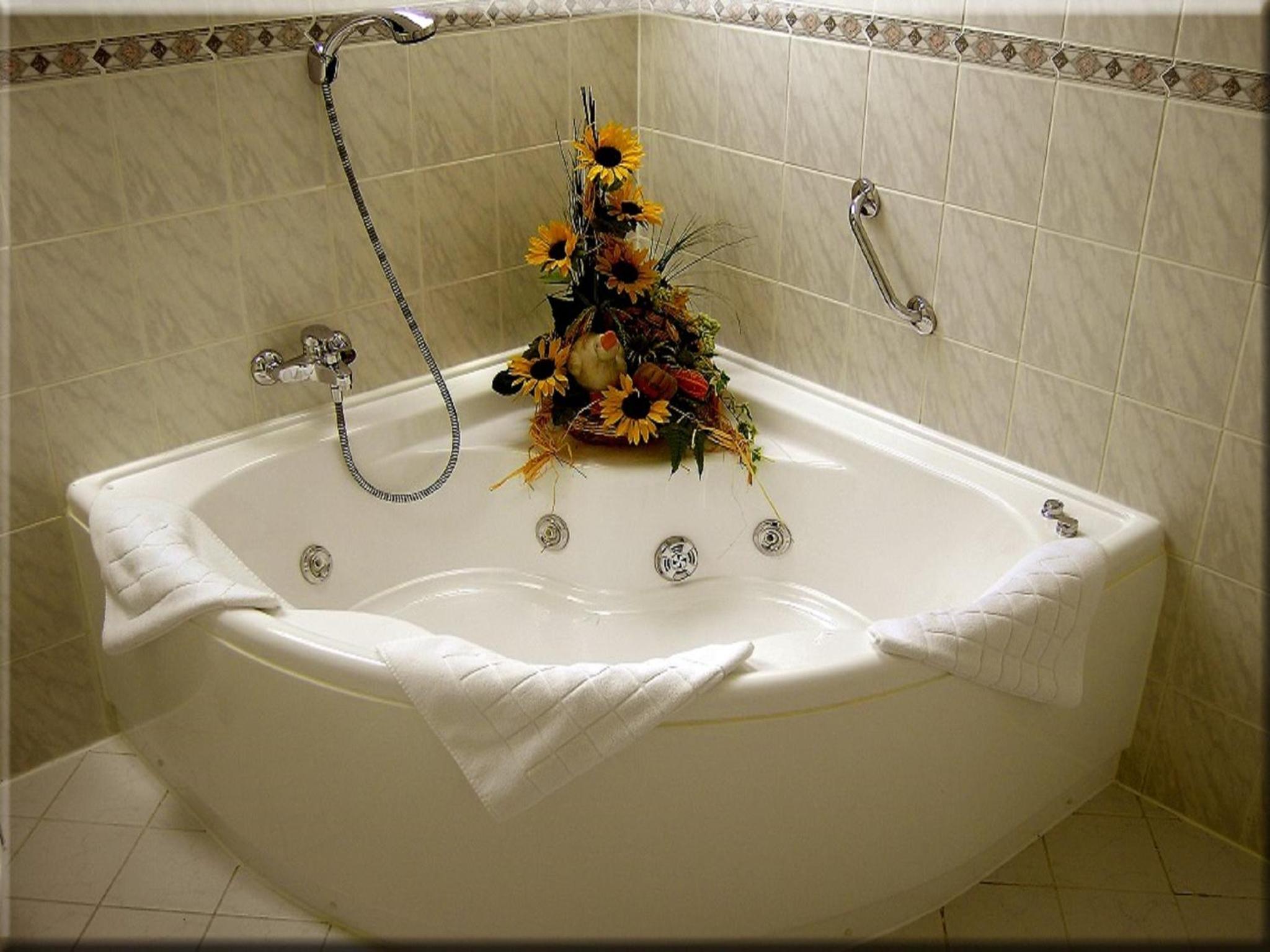 Suite - Photo 3