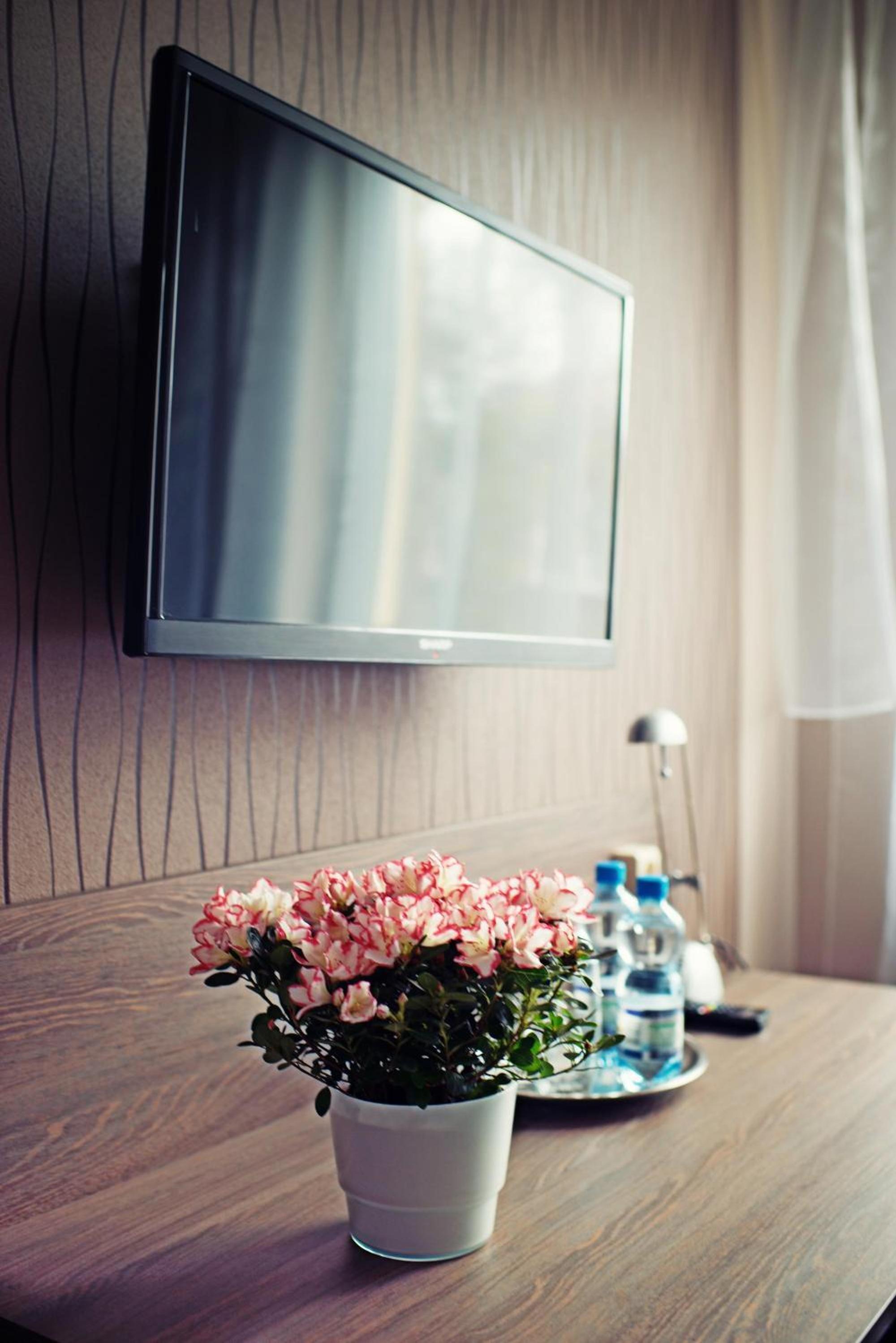 Double or Twin Room - Photo 8