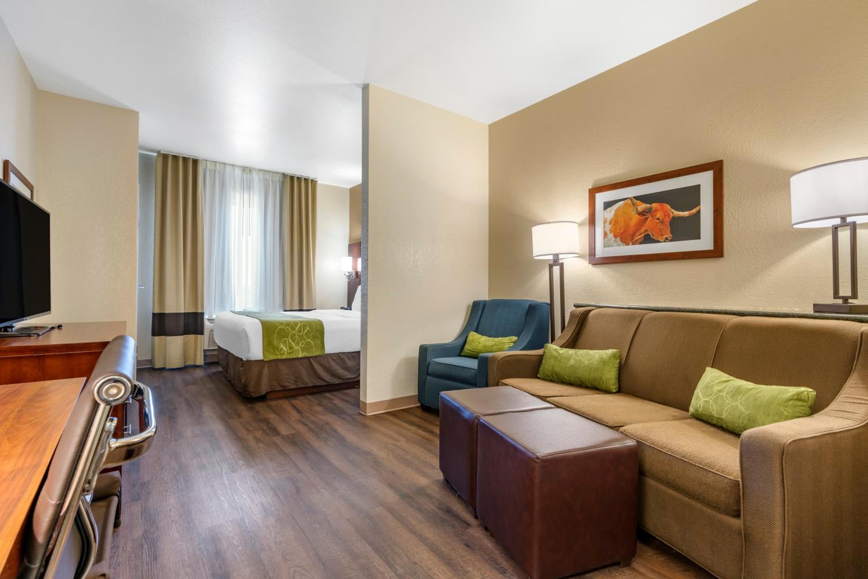 King Suite with Sofa Bed - Non-Smoking/Pet Friendly - Photo 5