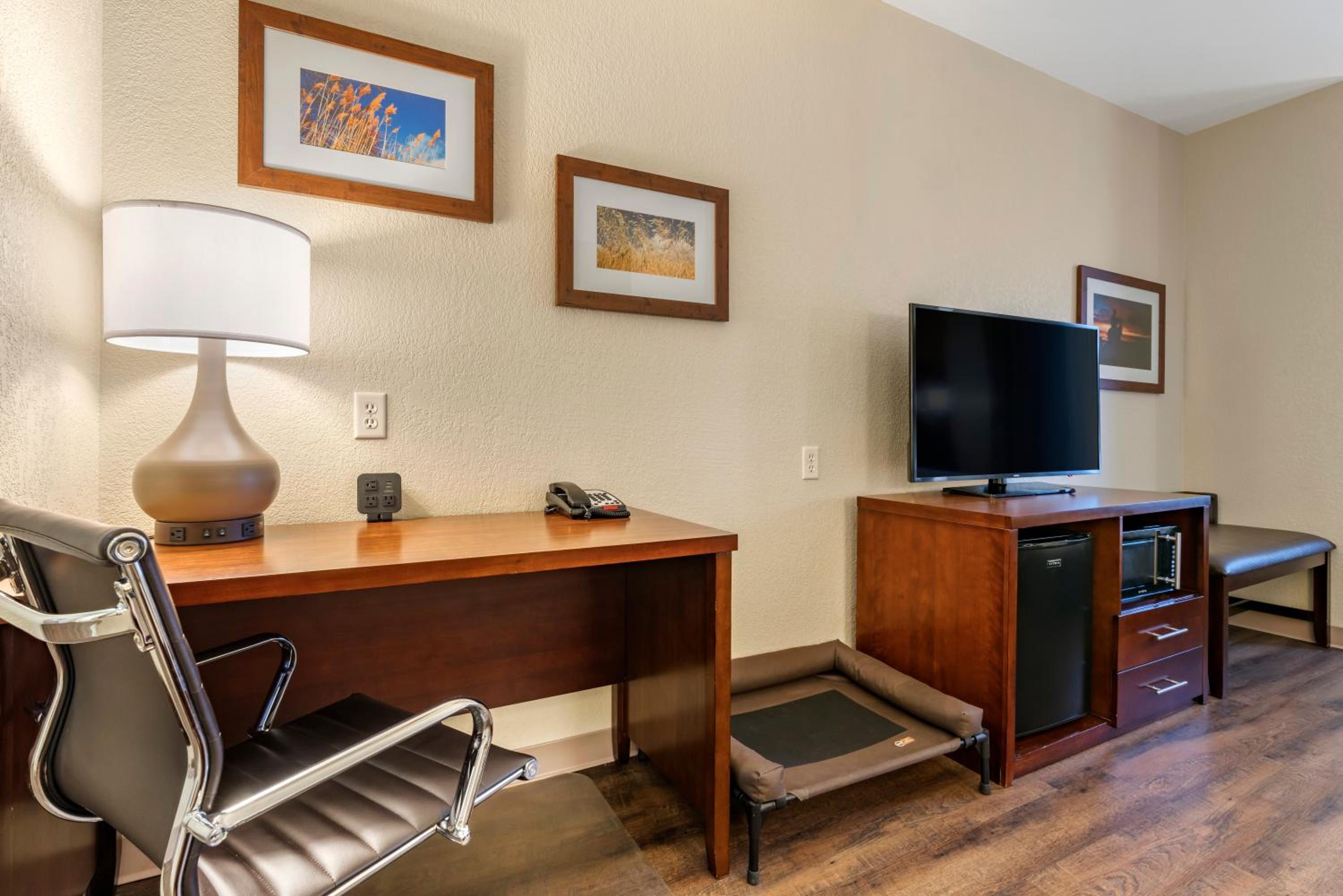 King Suite with Sofa Bed - Non-Smoking/Pet Friendly - Photo 2