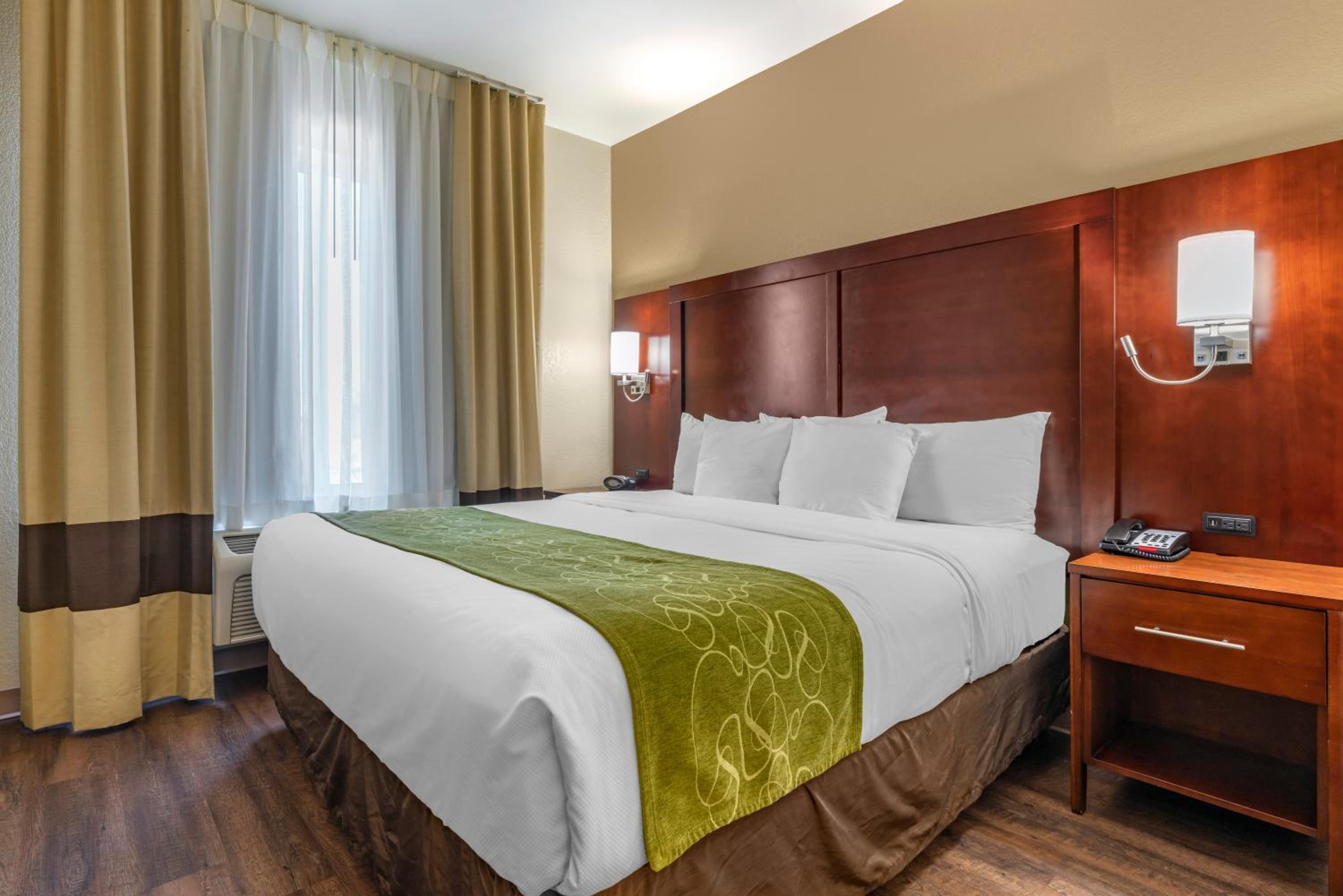 King Suite with Sofa Bed - Non-Smoking/Pet Friendly - Photo 3