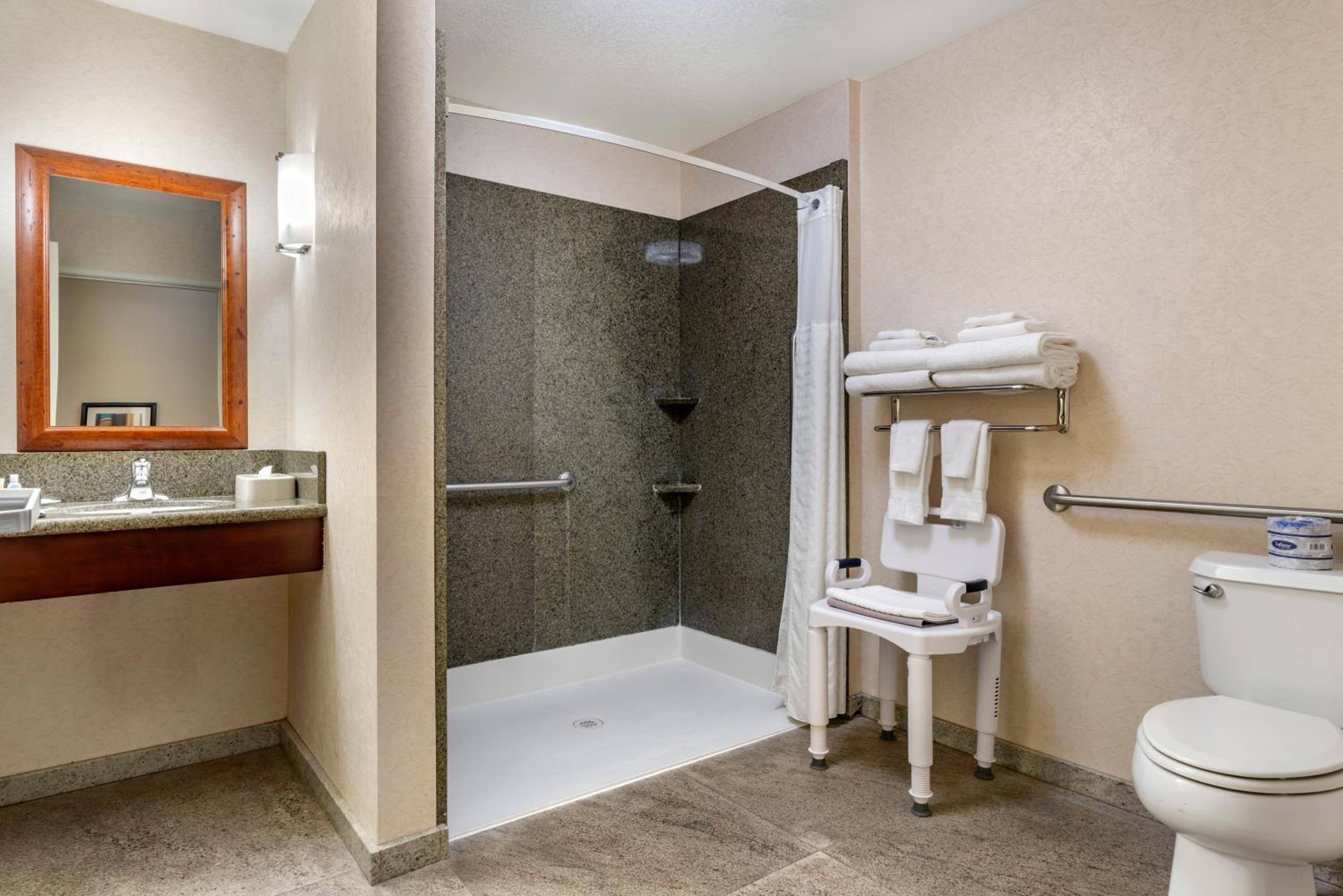 King Suite with  Roll-in-Shower - Accessible/Non-Smoking photo 3