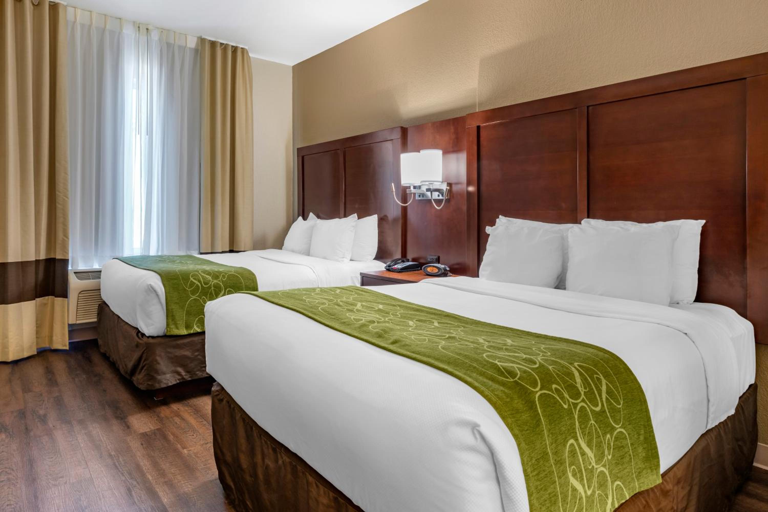 Suite - Non-Smoking/Pet Friendly - Photo 1