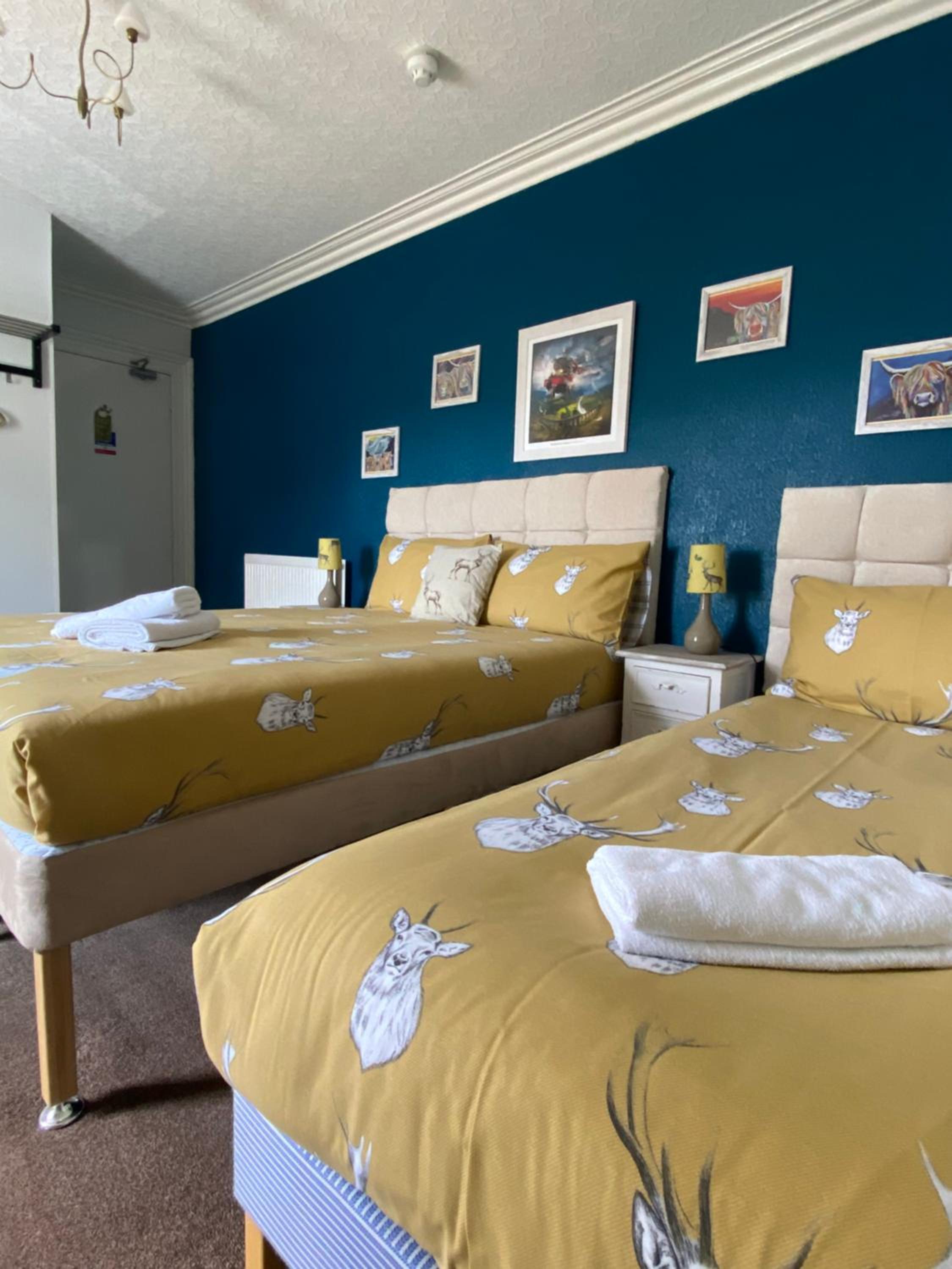 King Room / Family Room