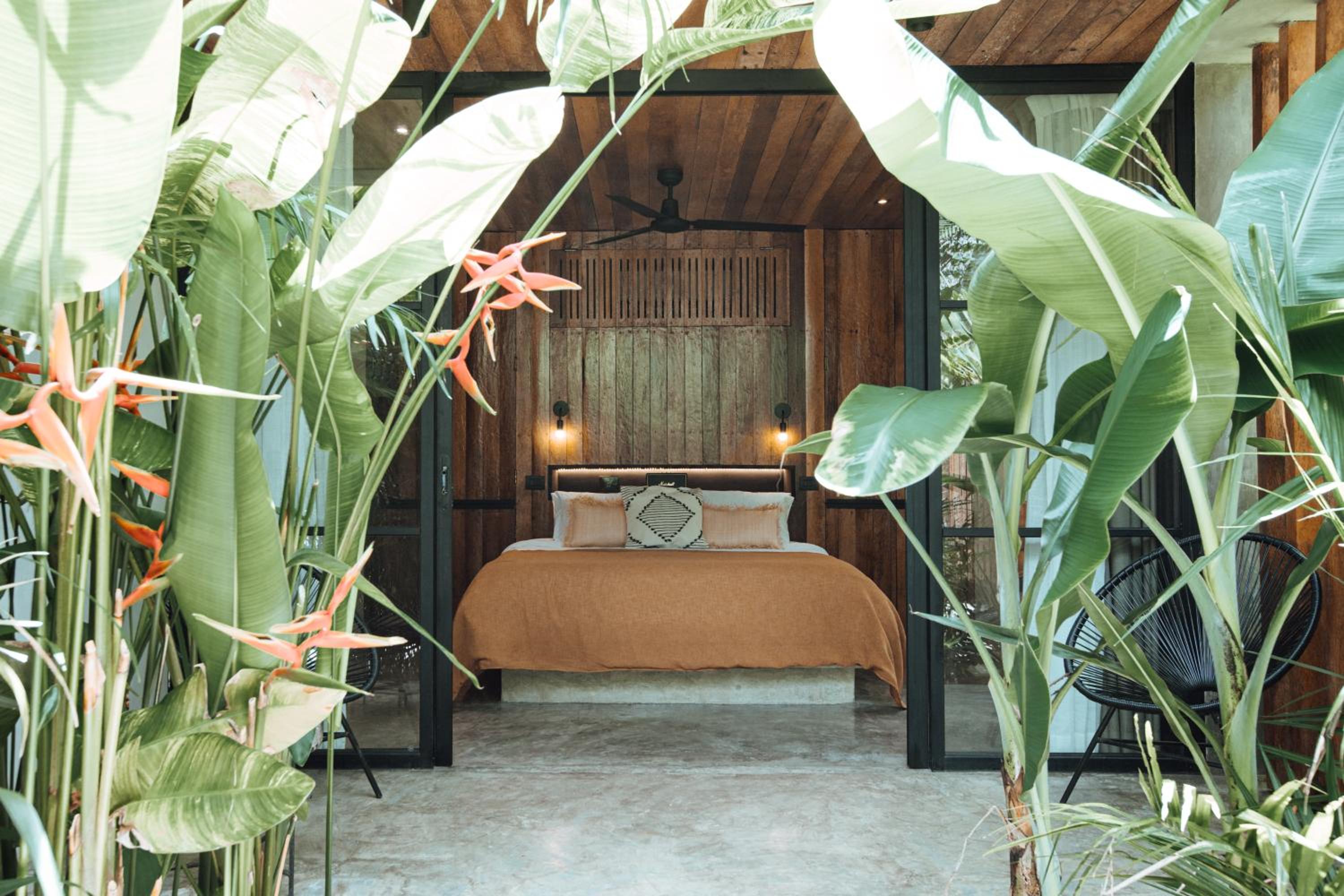 Deluxe King Room - Photo 1