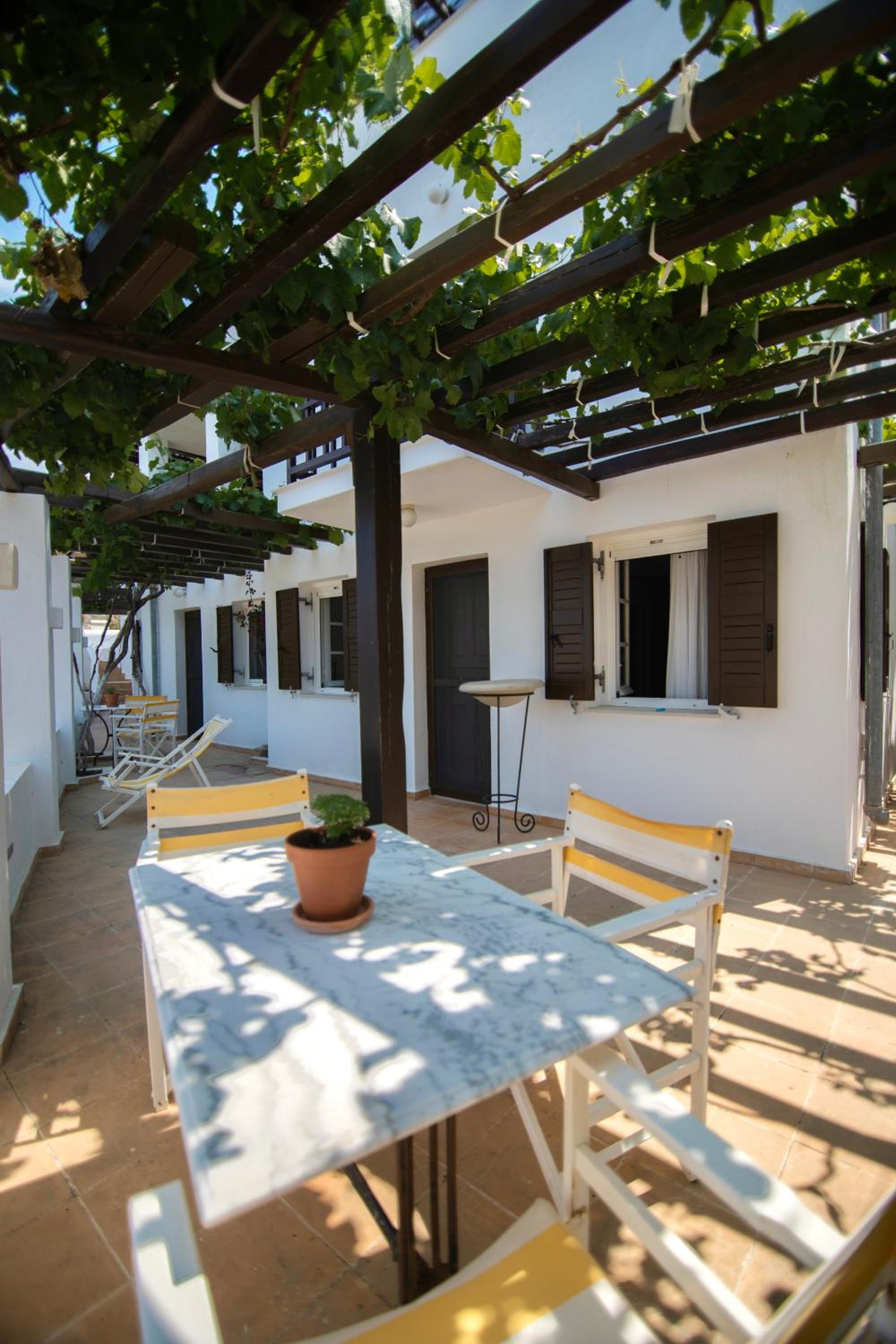 Studio with Terrace photo 2