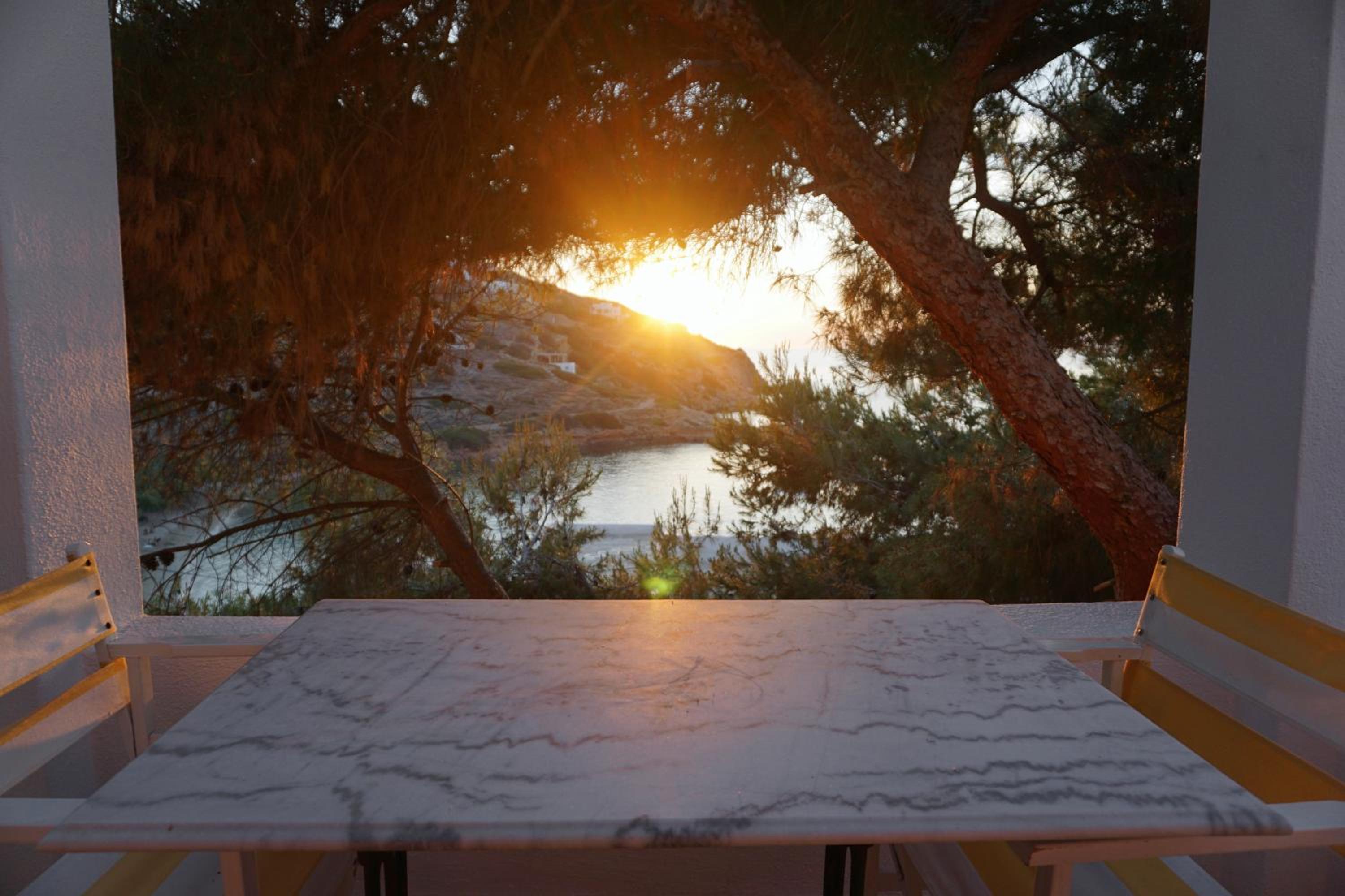 Studio with Terrace photo 2