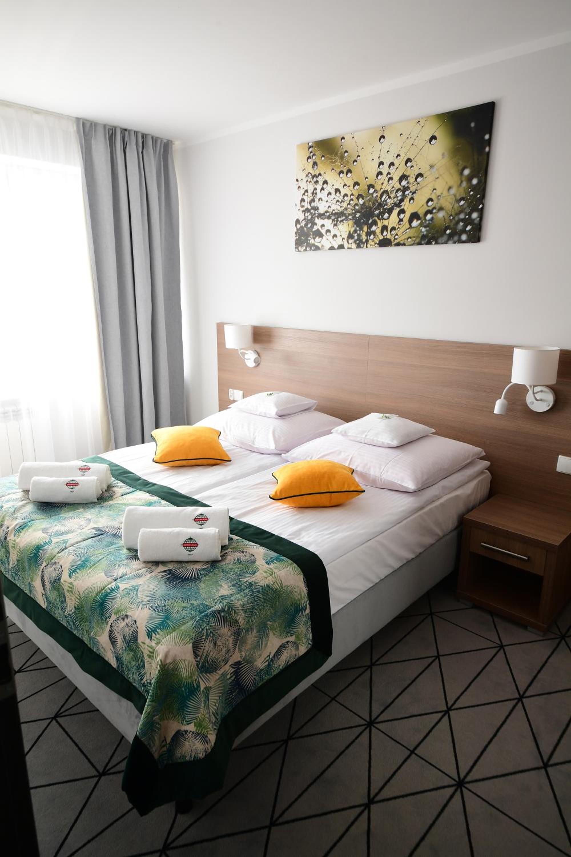 Deluxe Double or Twin Room - Photo 3