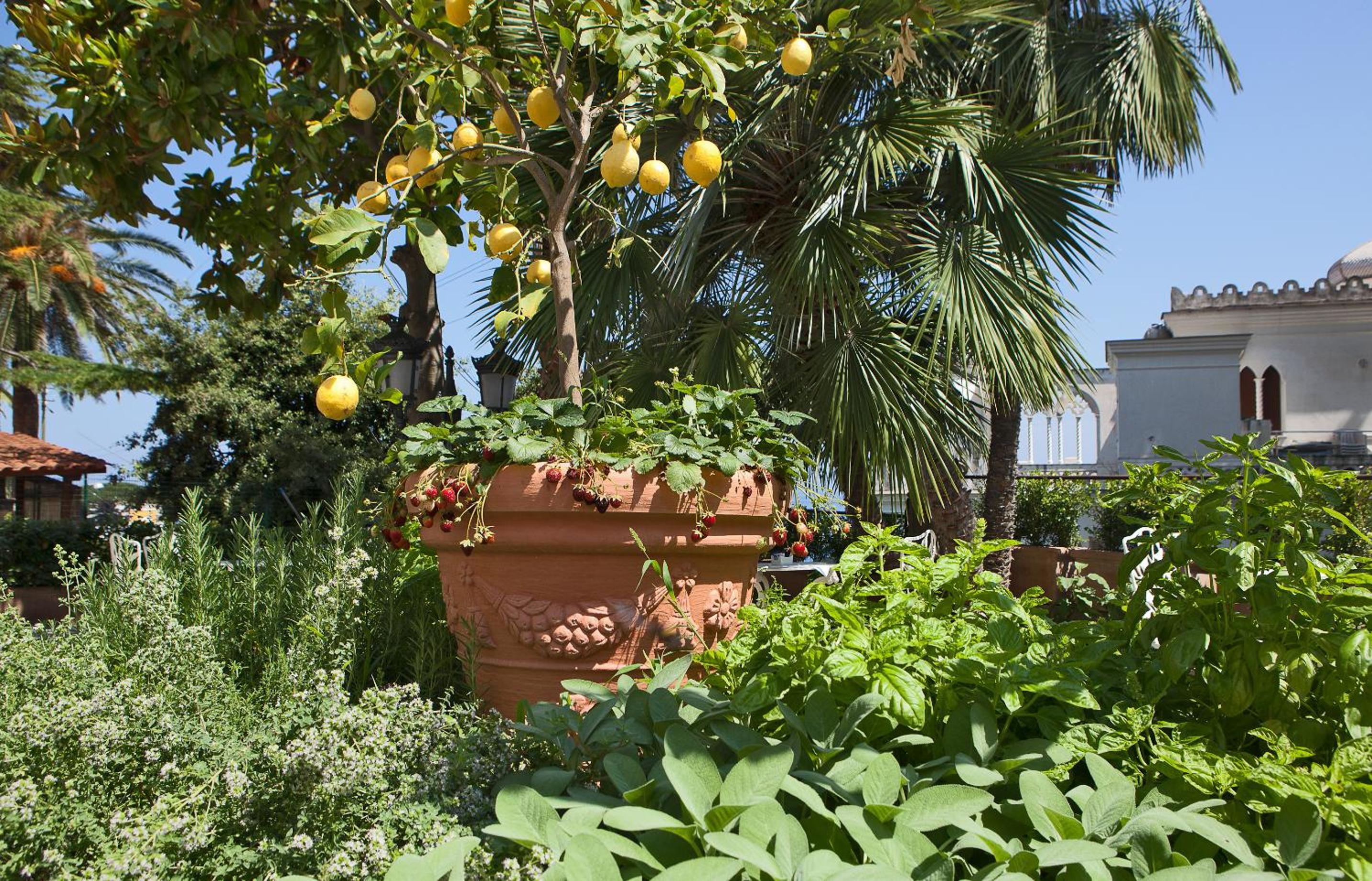 Deluxe Double or Twin Room with Garden View - Photo 2