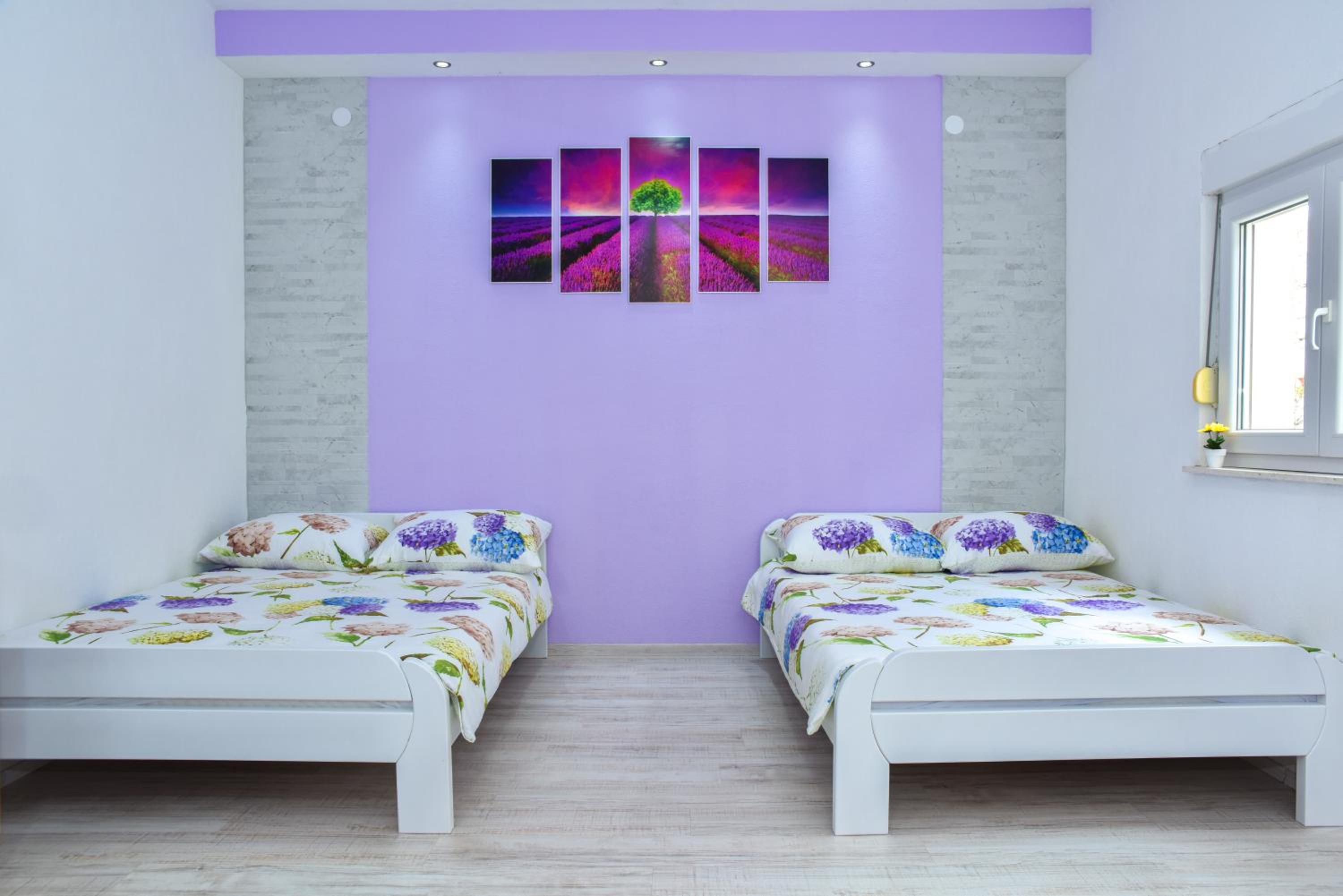 Studio with Terrace photo 1