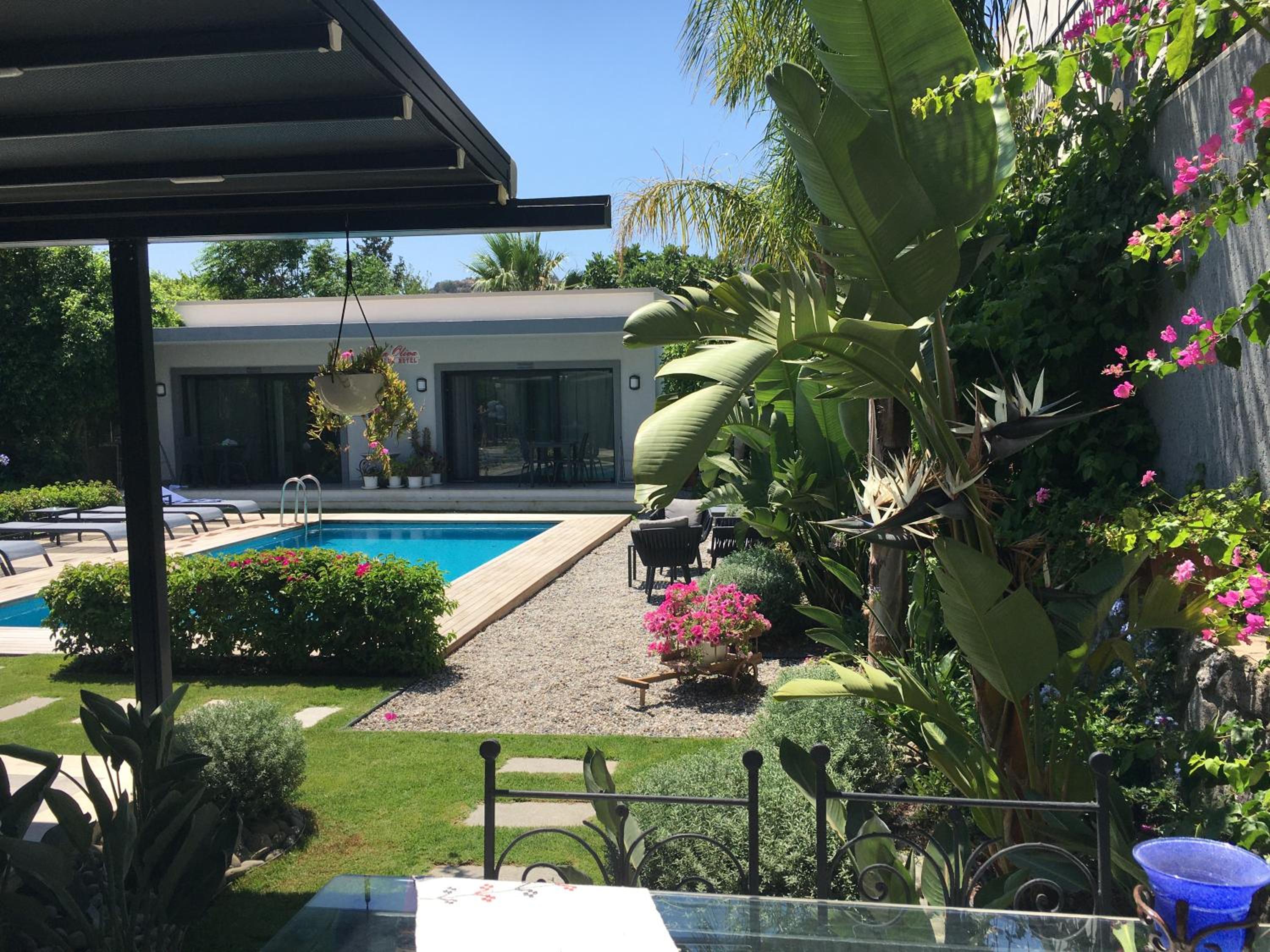 Double Room with Pool View photo 3