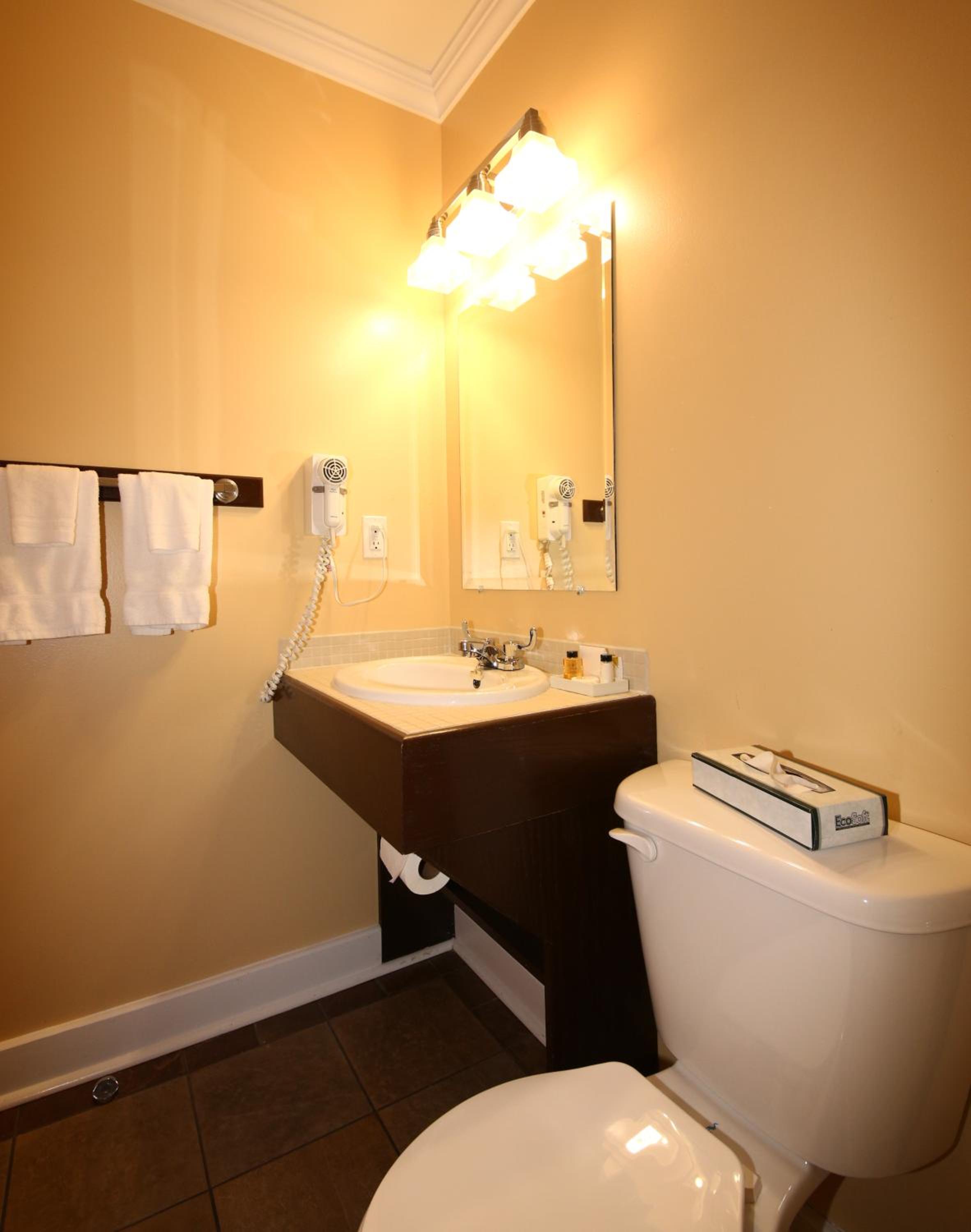 One-Bedroom Suite photo 2