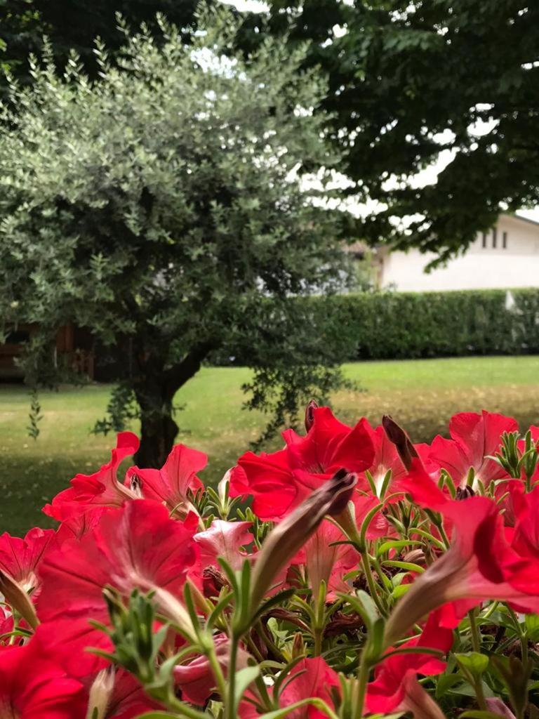 Vacation Home - Photo 32