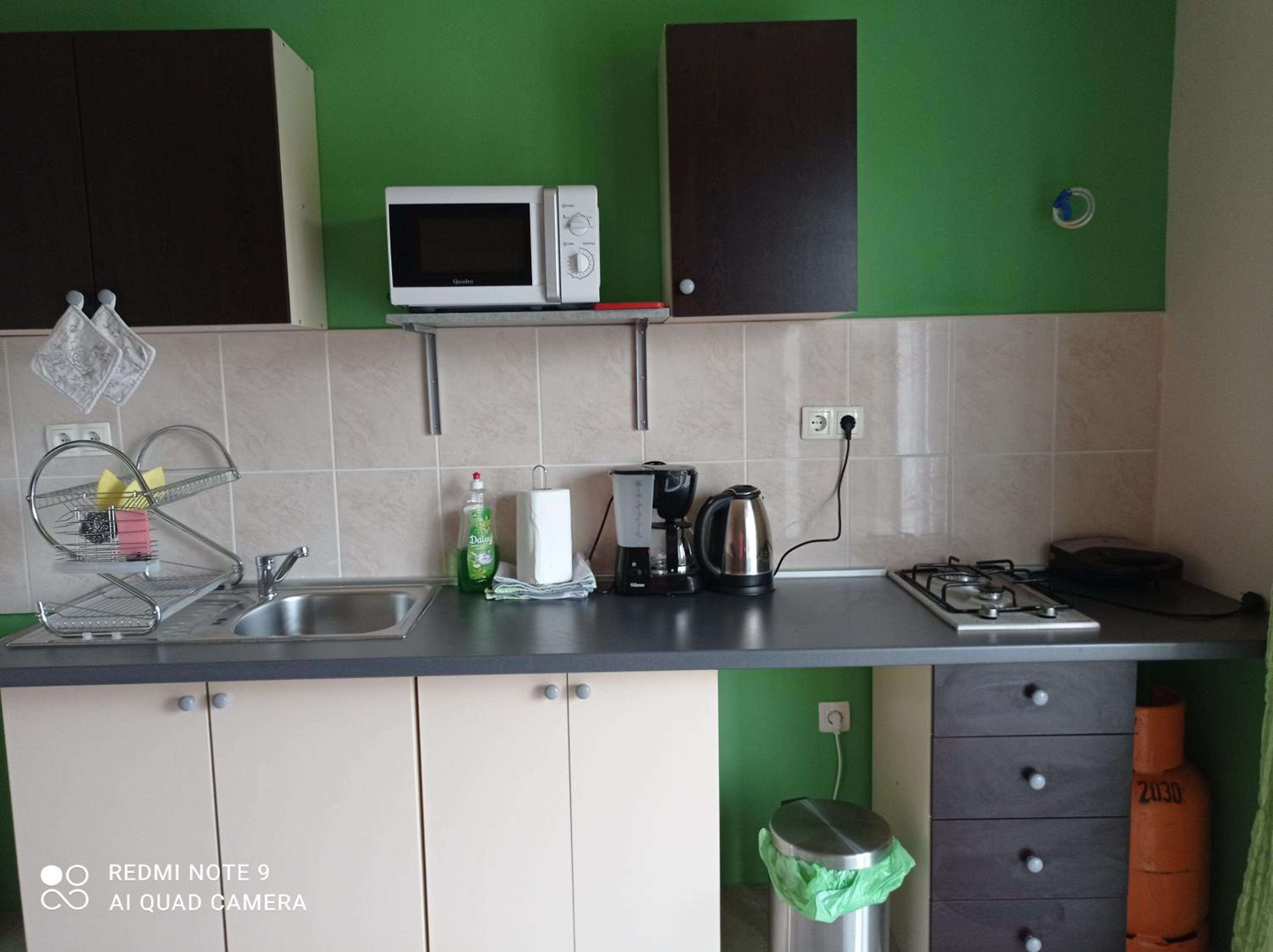 Apartment with Terrace - Photo 6