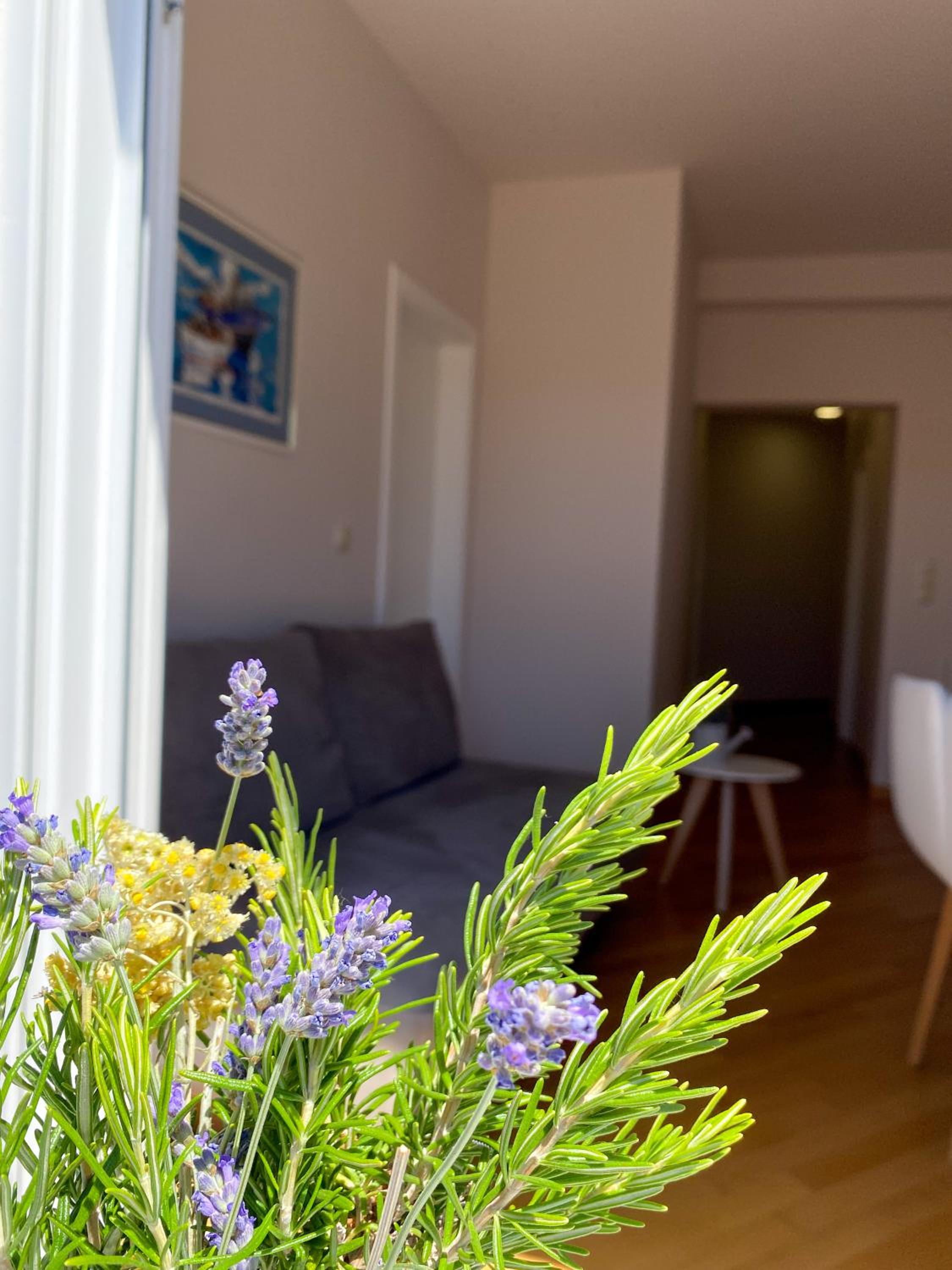 Superior Two-Bedroom Apartment with Terrace