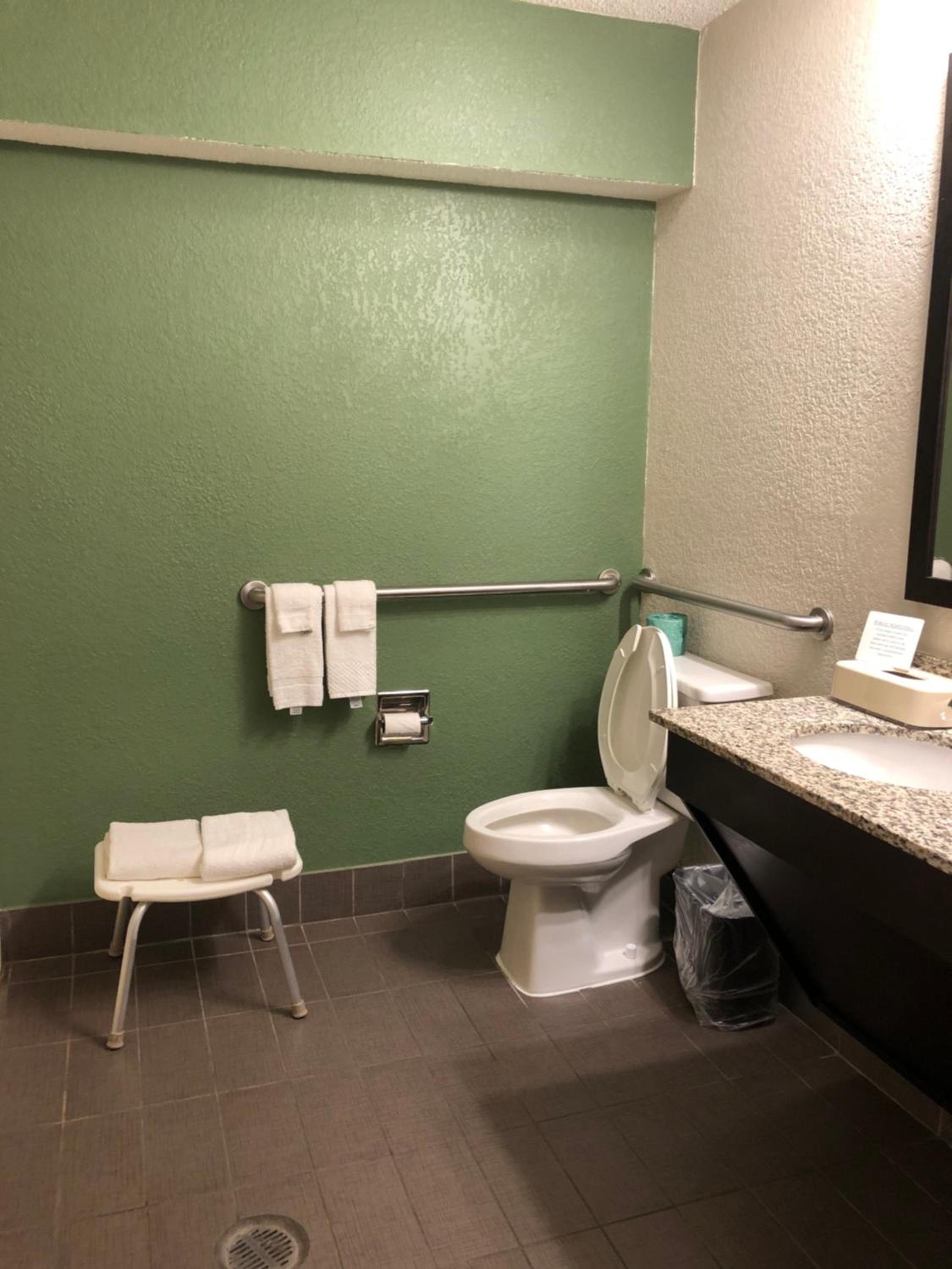 Queen Room With Roll-In Shower - Accessible/Non-Smoking photo 3