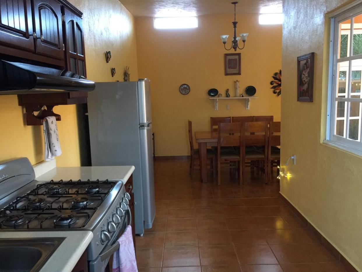 Apartment with Terrace photo 3