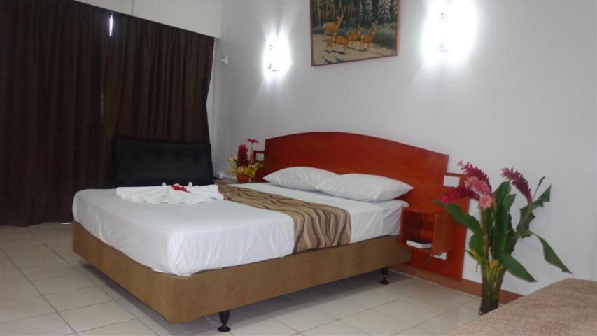 Superior Double or Twin Room - Photo 5