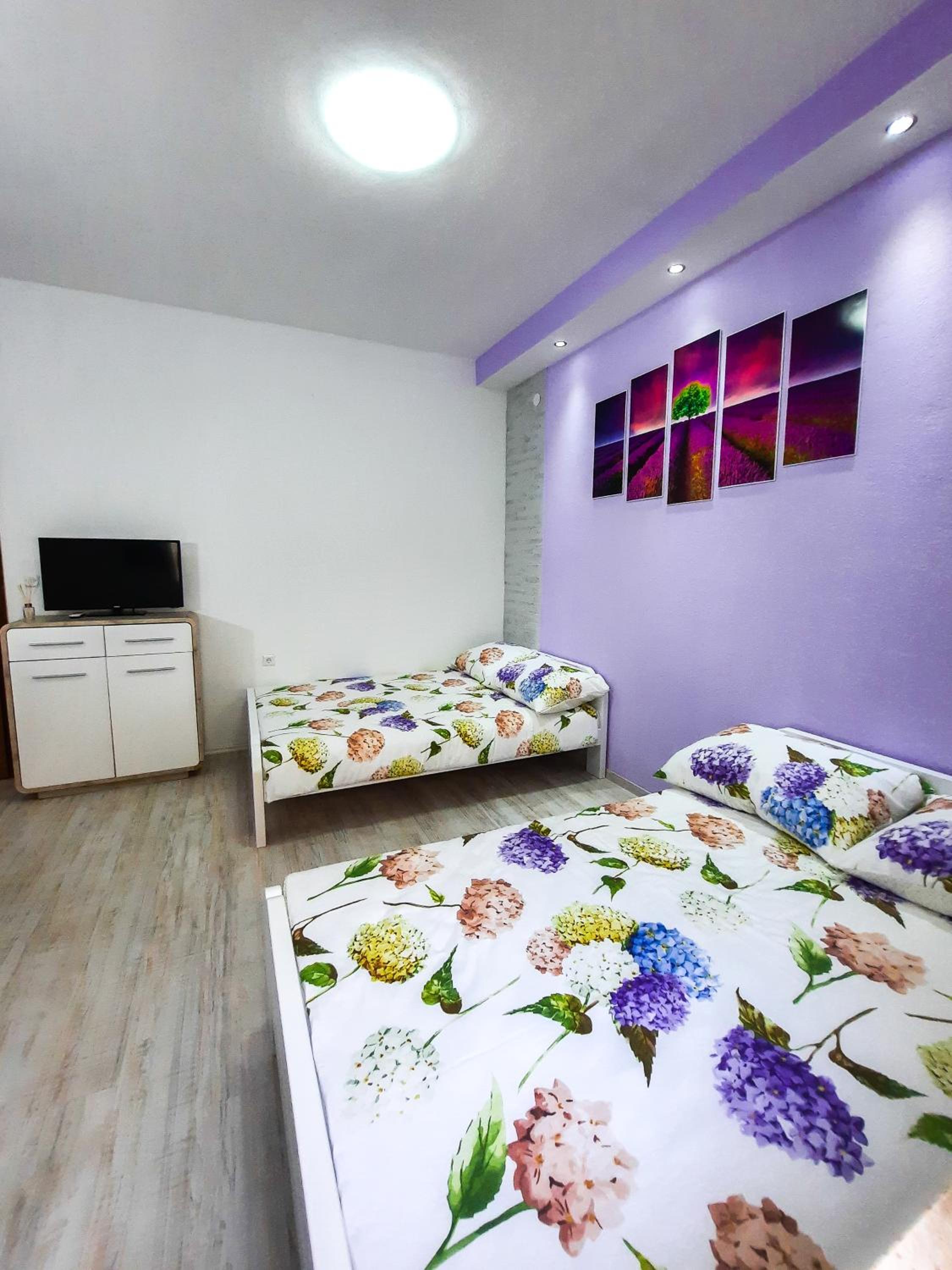 Studio with Terrace photo 2
