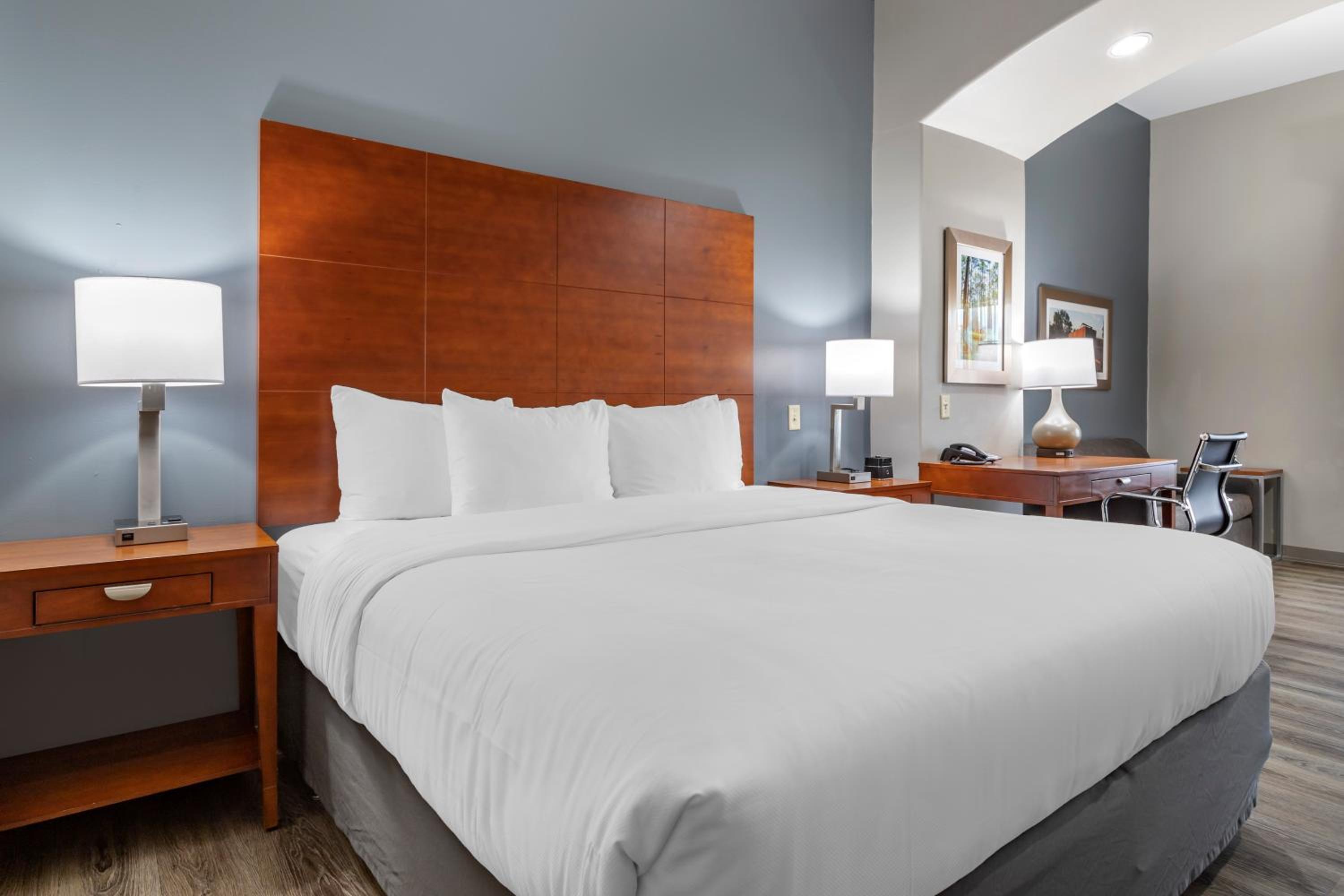 King Room - Accessible/Non-Smoking - Photo 4
