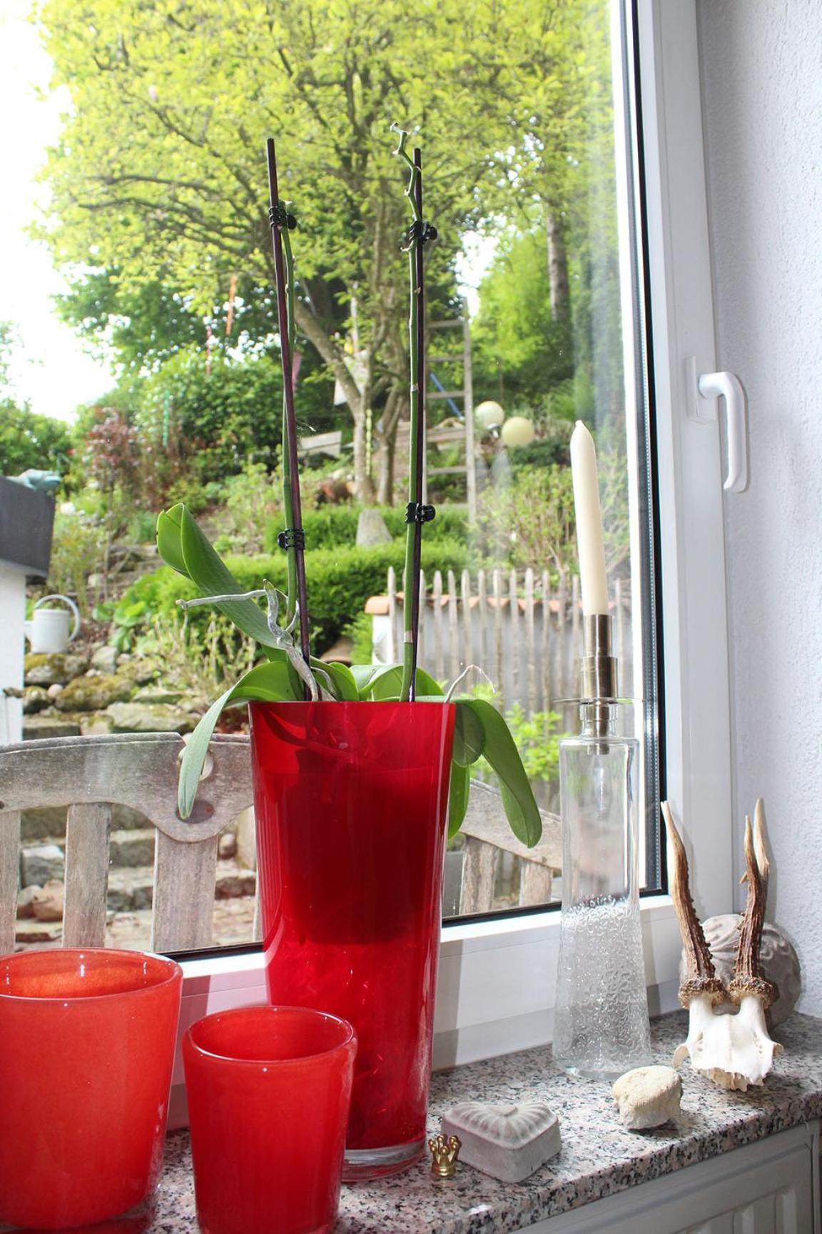 Studio with Garden View photo 1