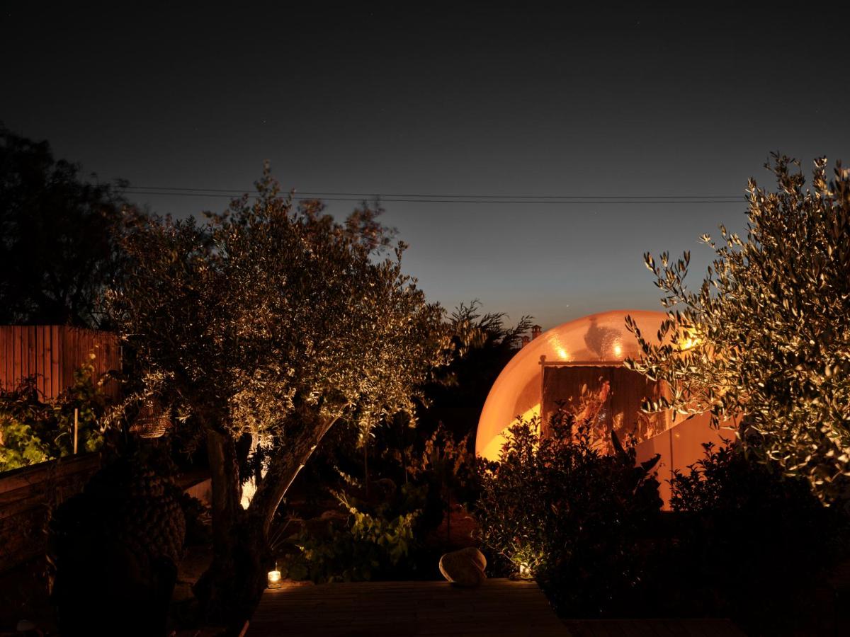 Tent - Garden Eden - Photo 1