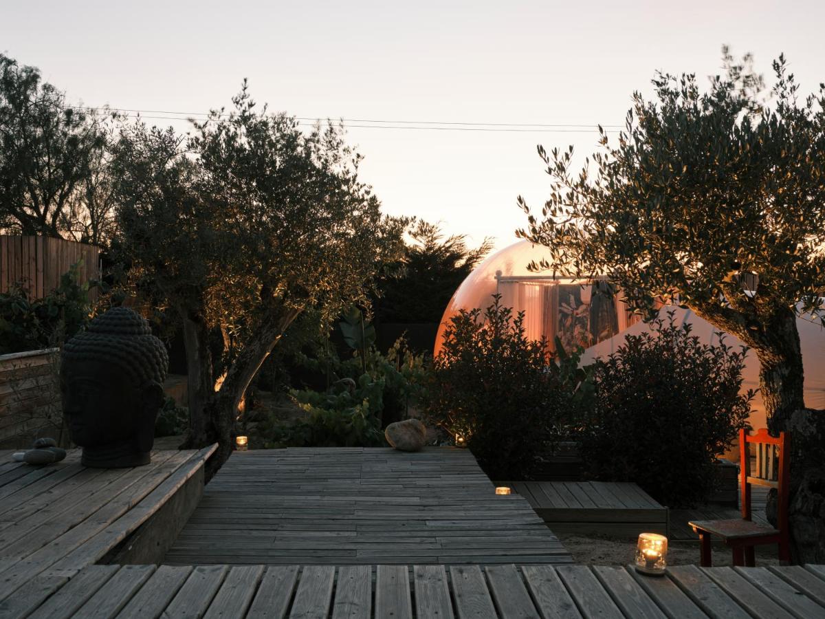 Tent - Garden Eden - Photo 2