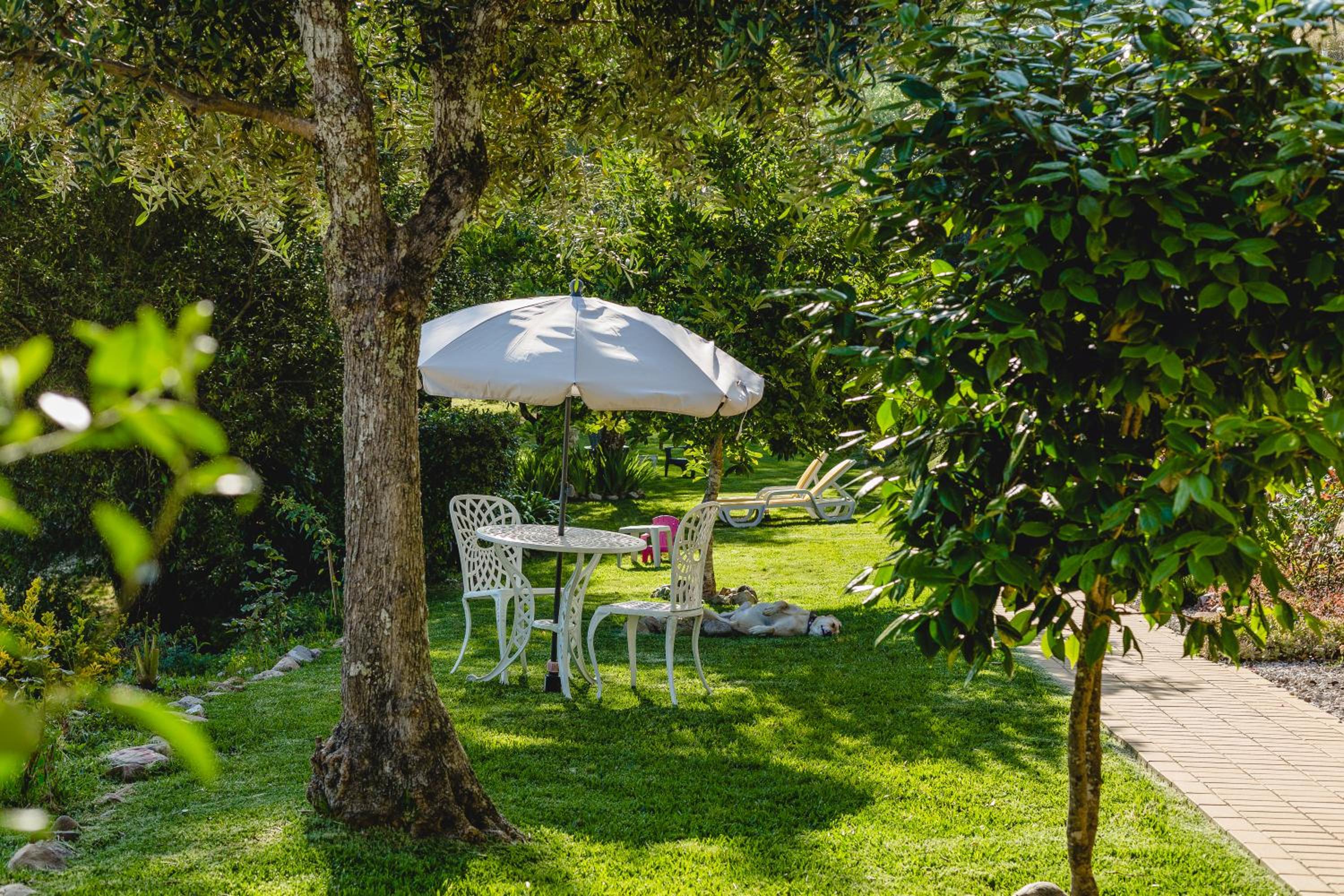 Suite with Terrace and Garden View - Photo 4