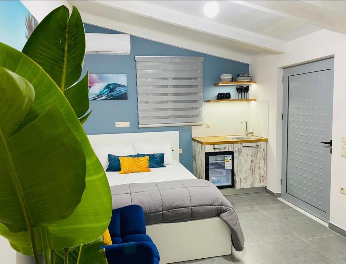 One-Bedroom House photo 1