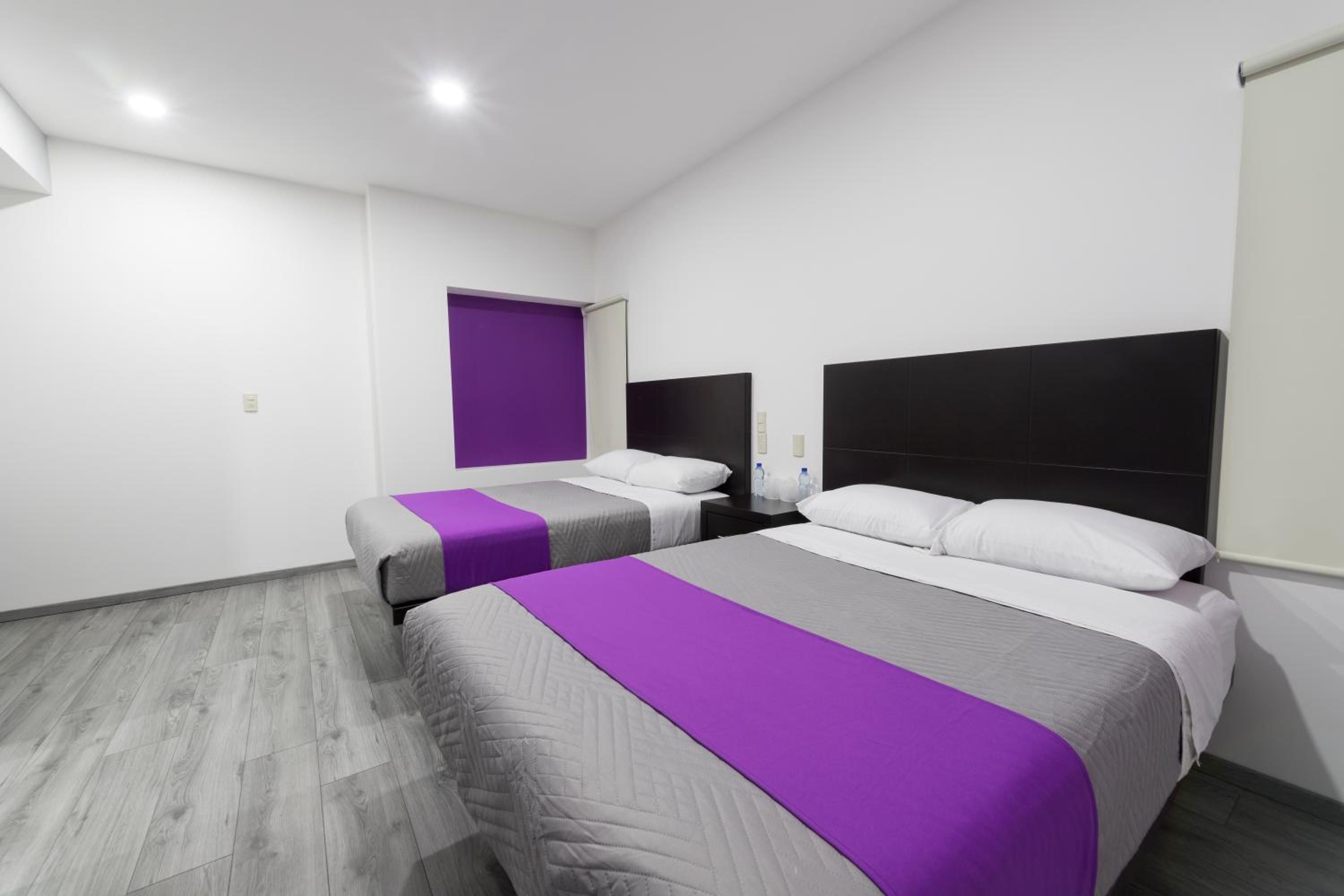 Twin Room photo 2