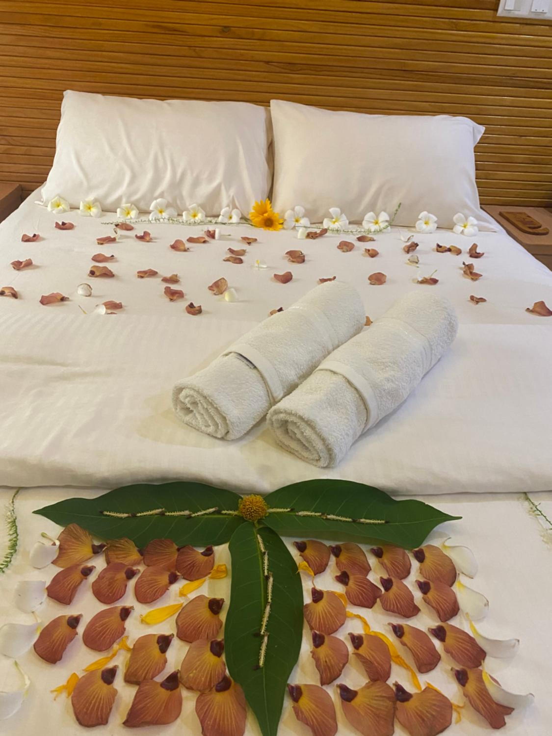 Deluxe Double or Twin Room - Photo 27