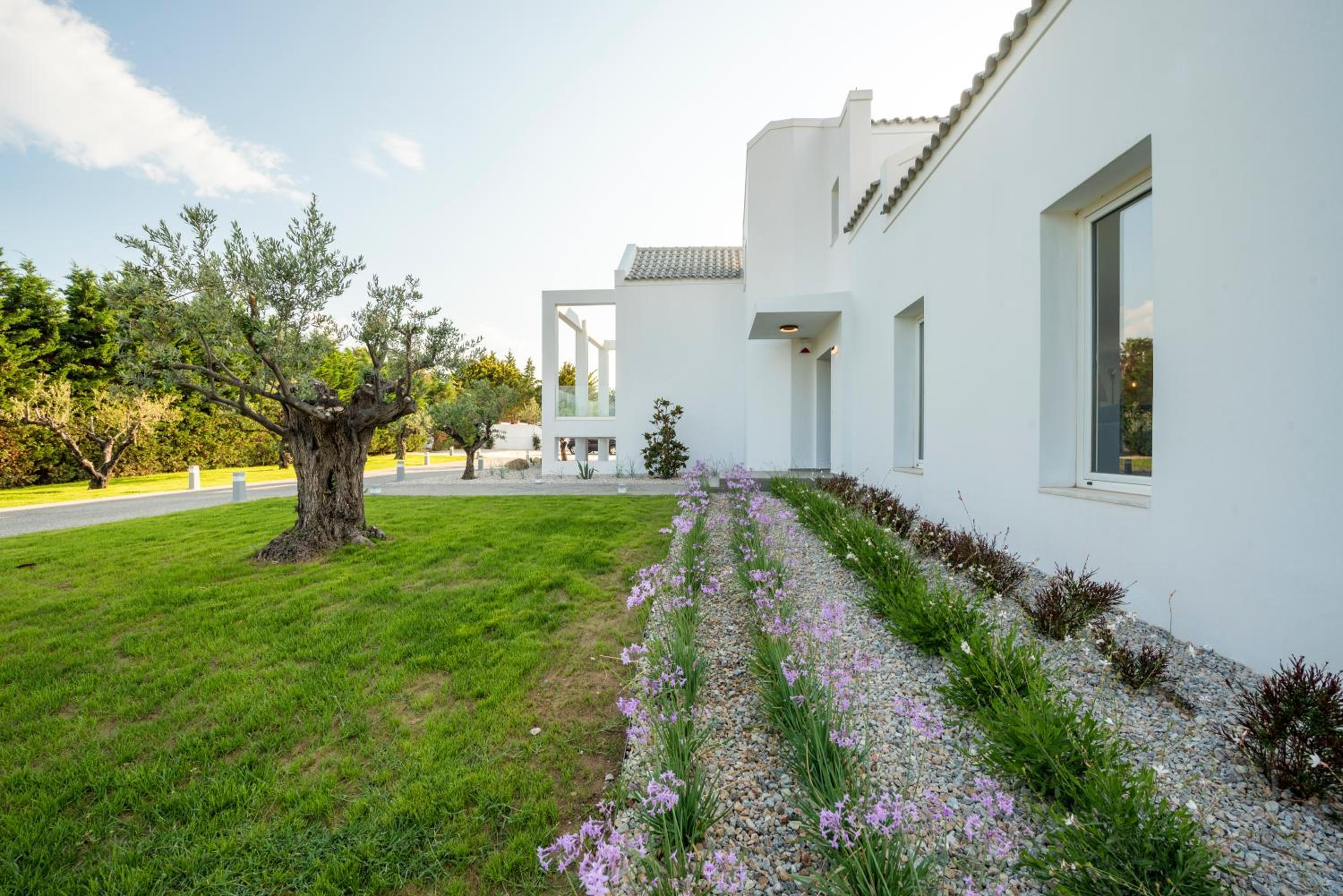 Superior Villa photo 3